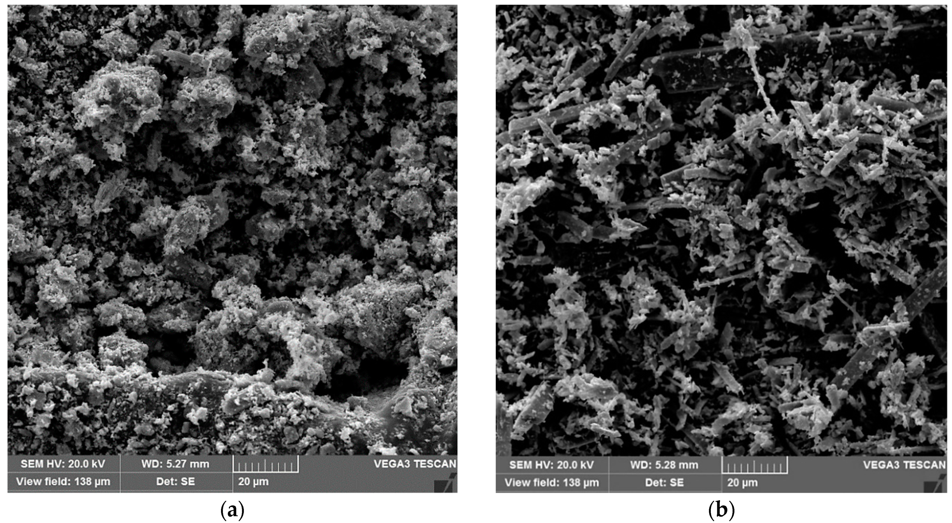 Molecules 29 02404 g005