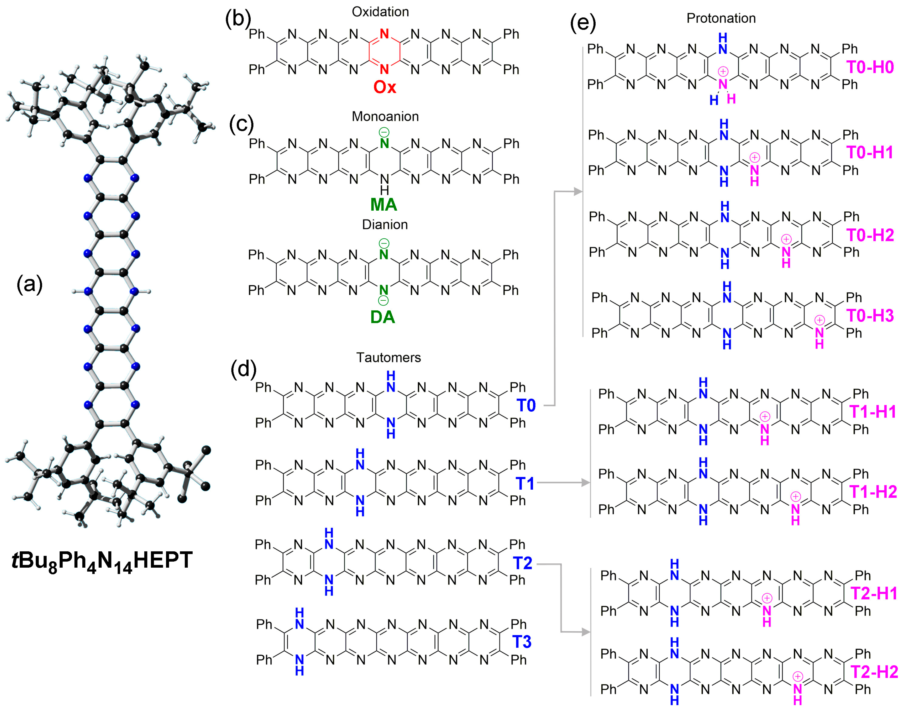 Molecules 29 02407 g002
