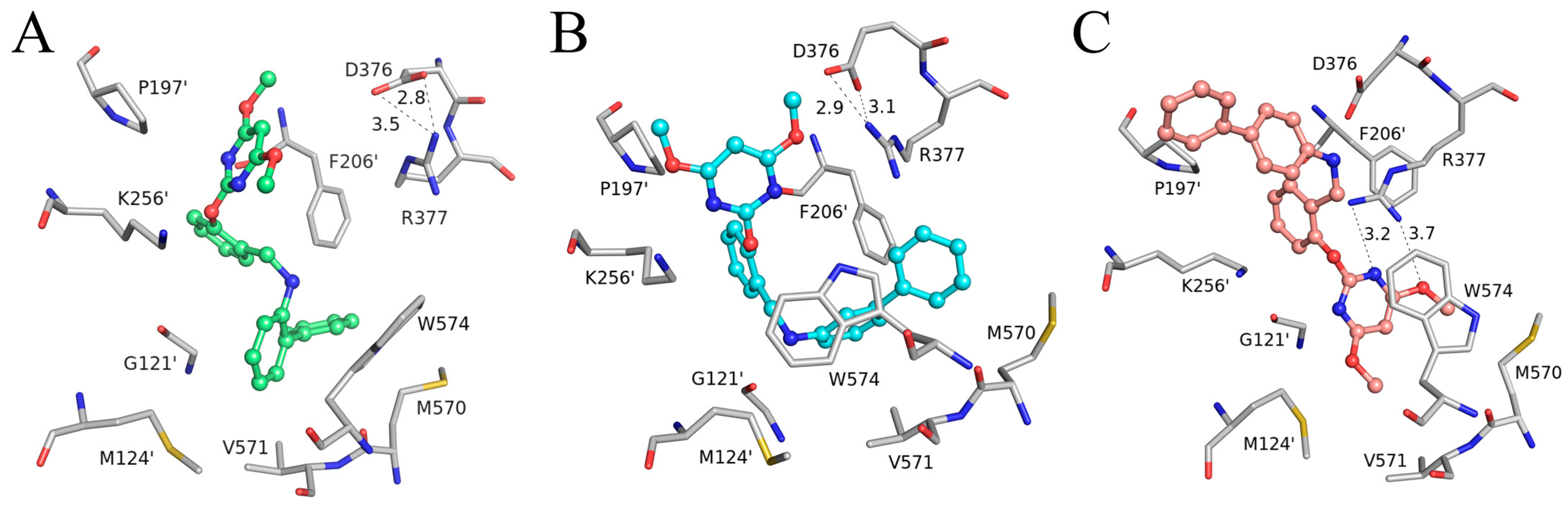 Molecules 29 02409 g005