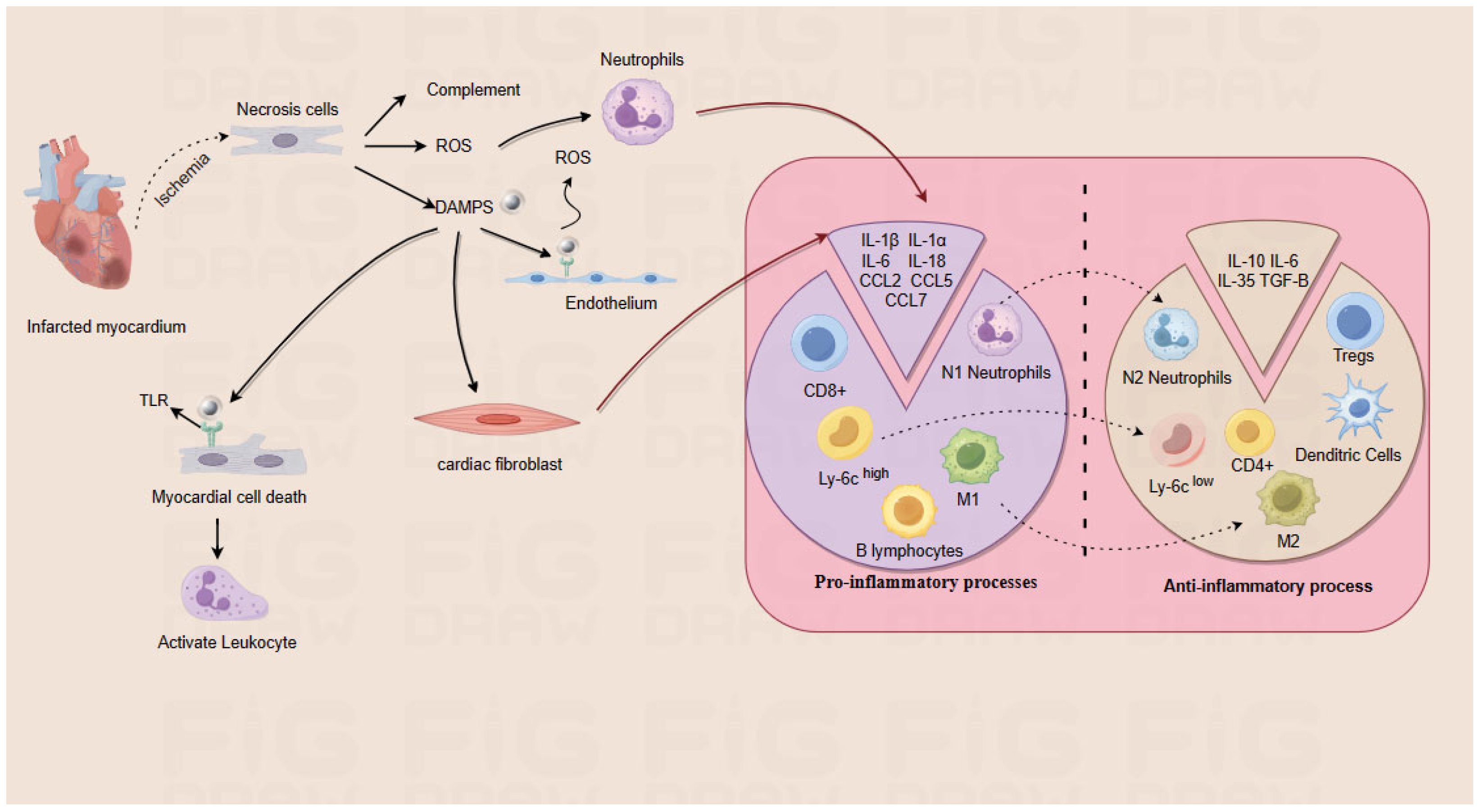Molecules 29 02415 g002