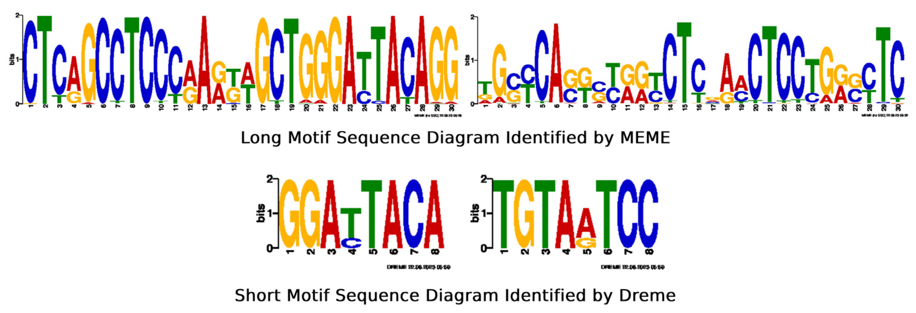 Molecules 29 02429 g005