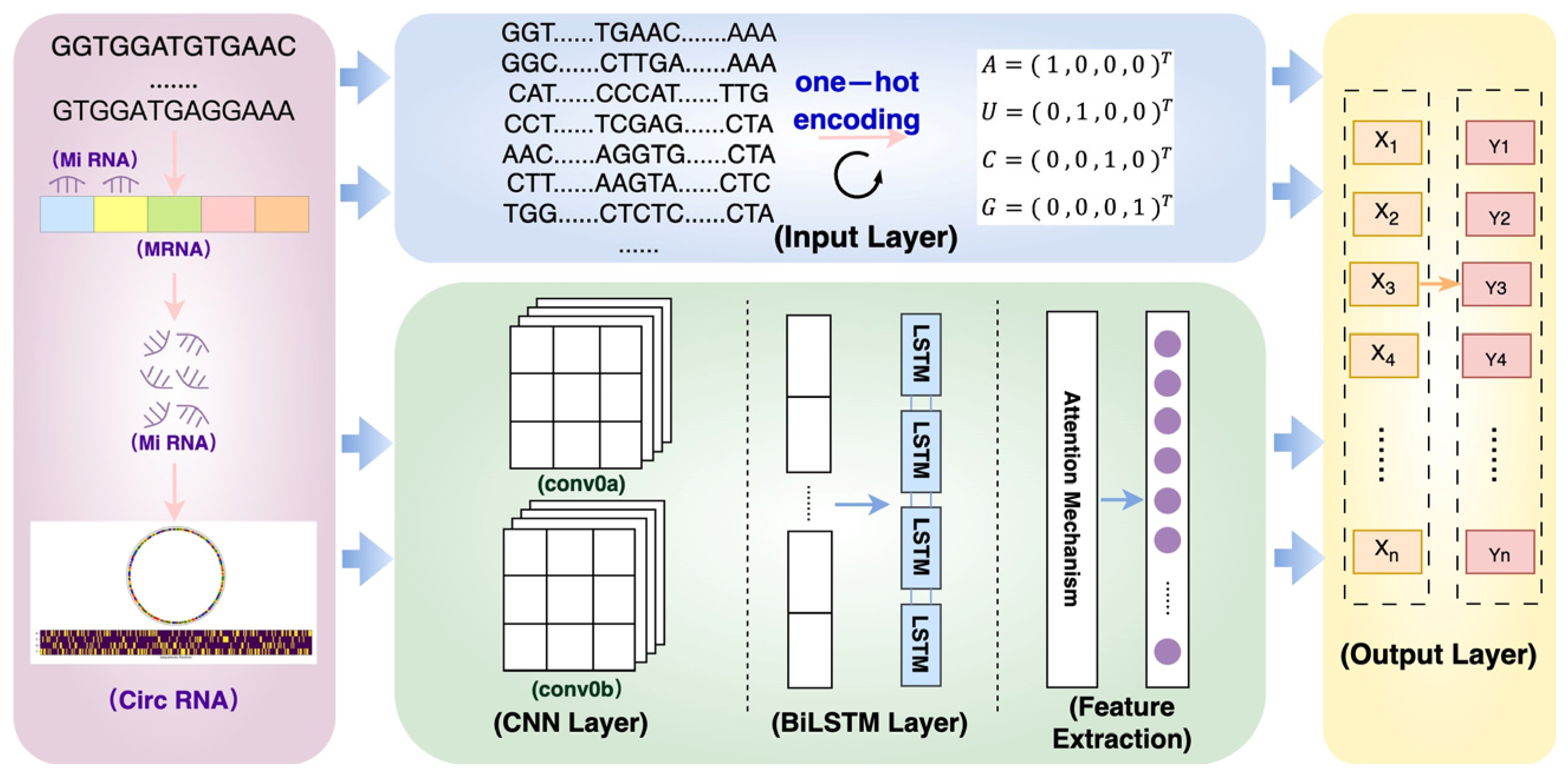 Molecules 29 02429 g006