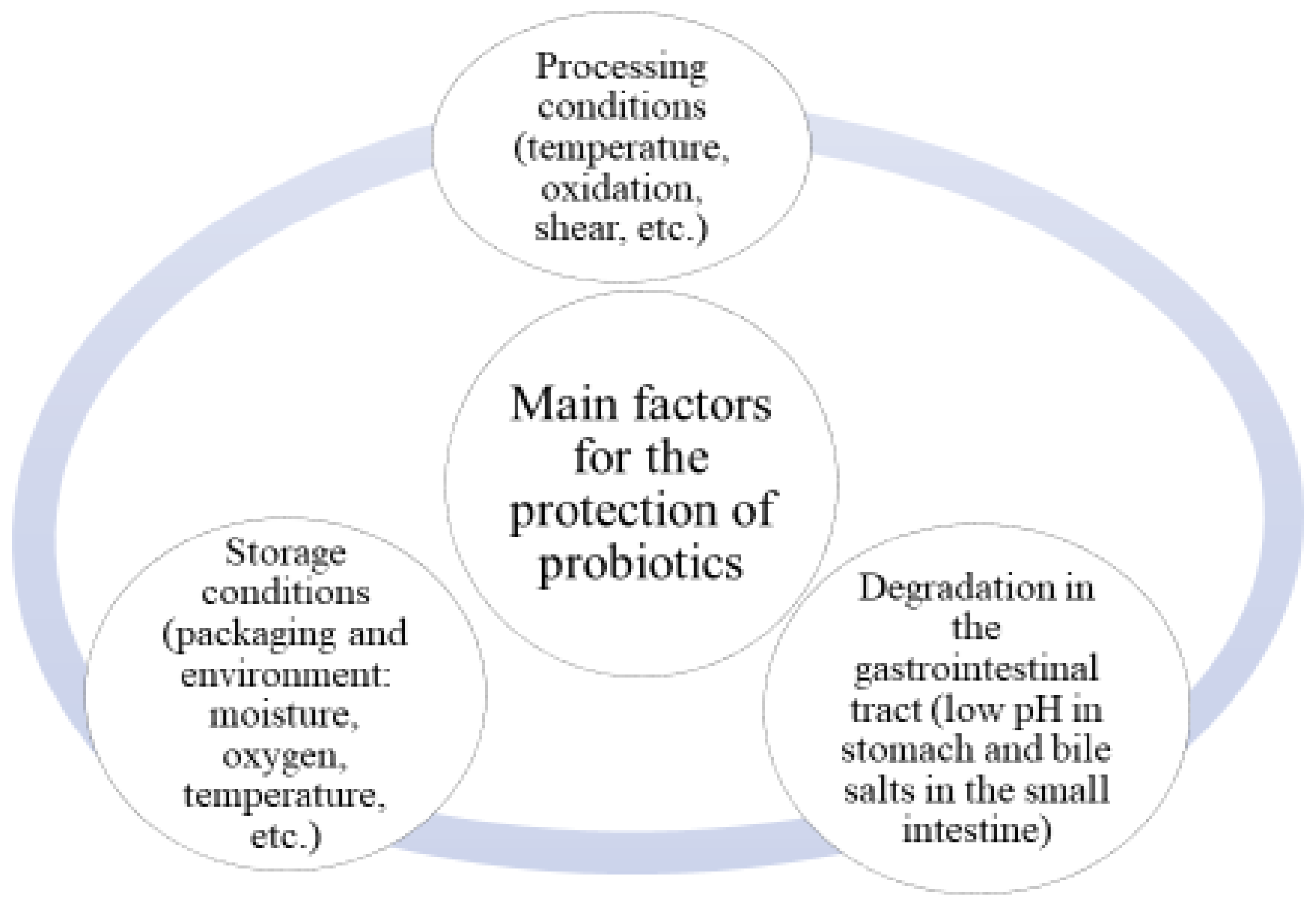 Molecules 29 02431 g001