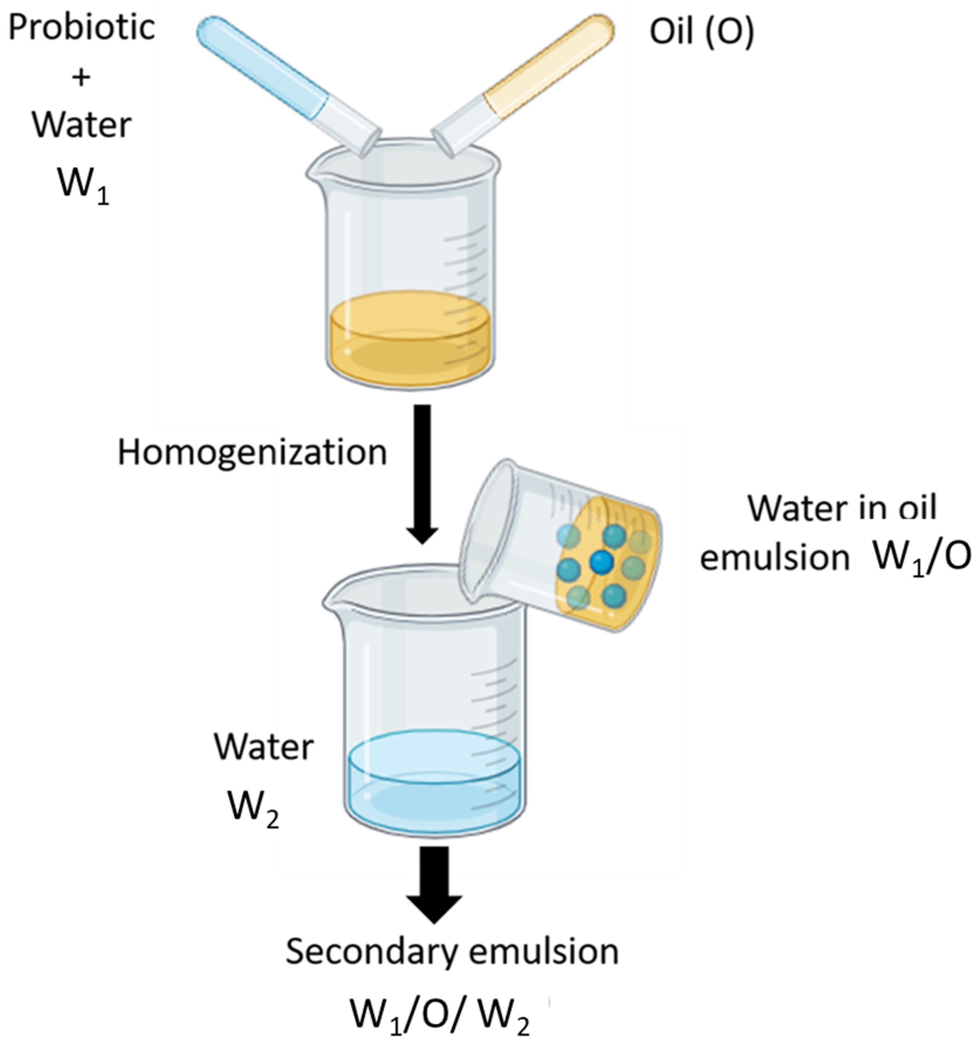 Molecules 29 02431 g006