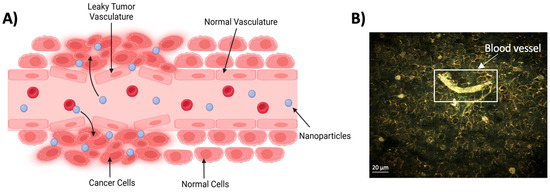 トリートメント M 3.6 electron treatment 1000mL トリートメント M 3.6 electron treatment 1000mL Application