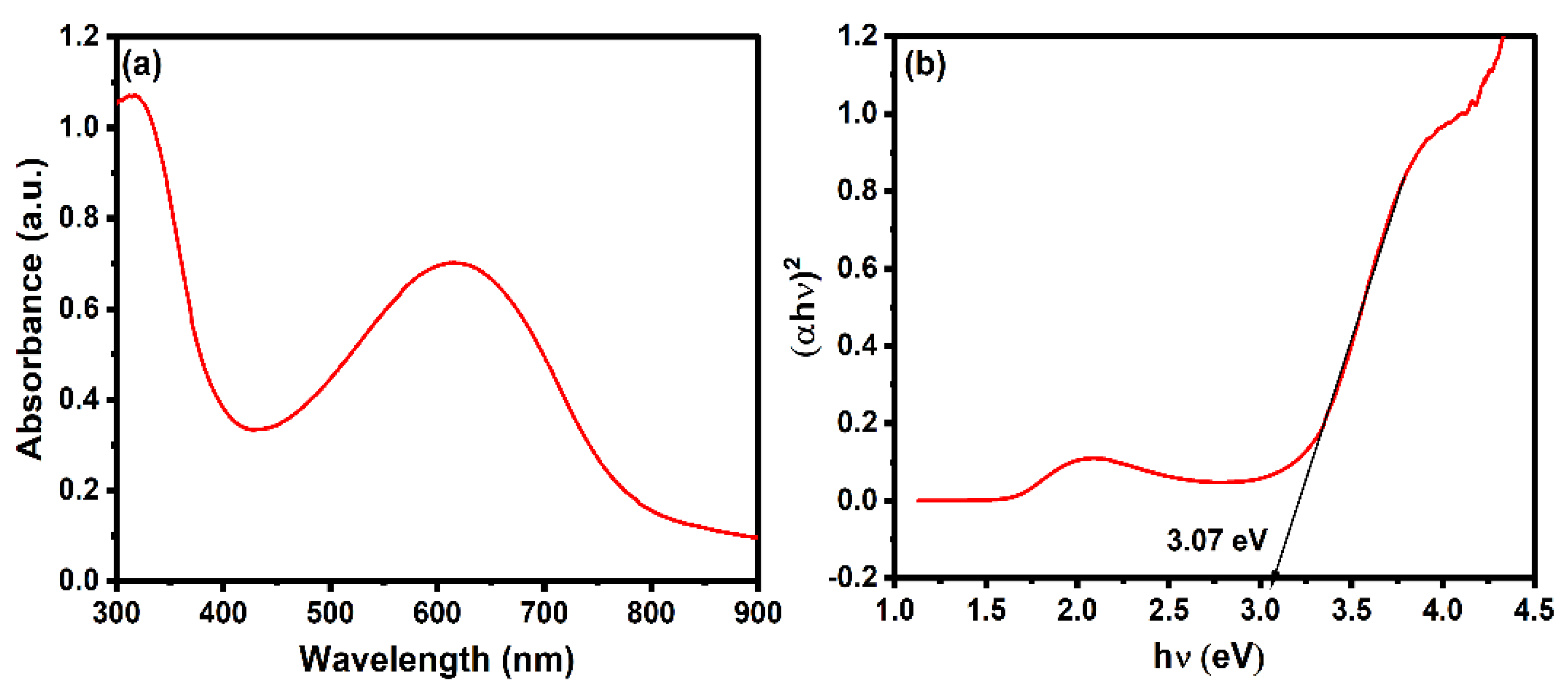Molecules 29 02439 g003
