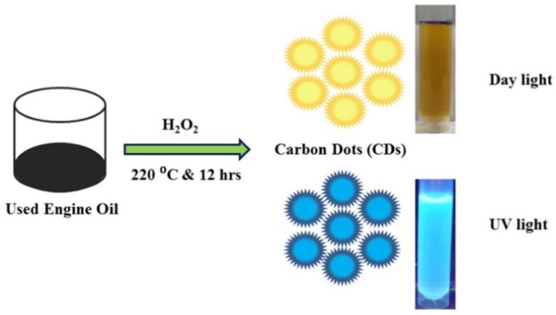 Molecules 29 02441 g005