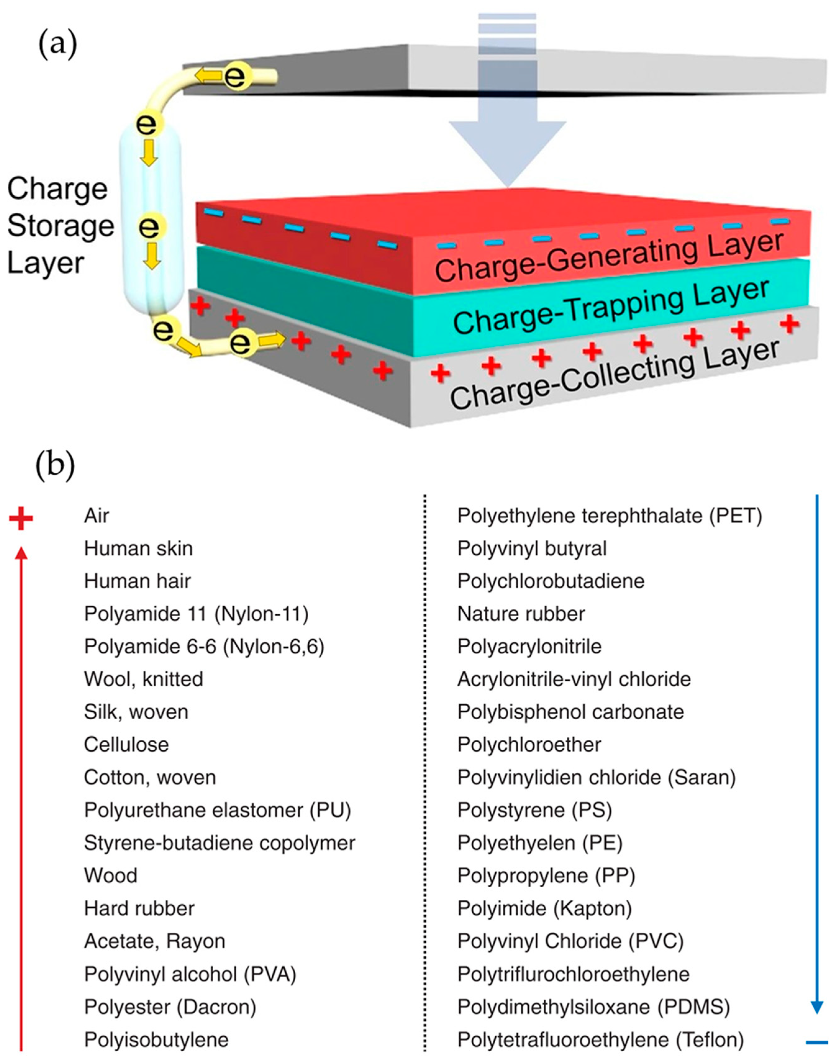 Molecules 29 02443 g004