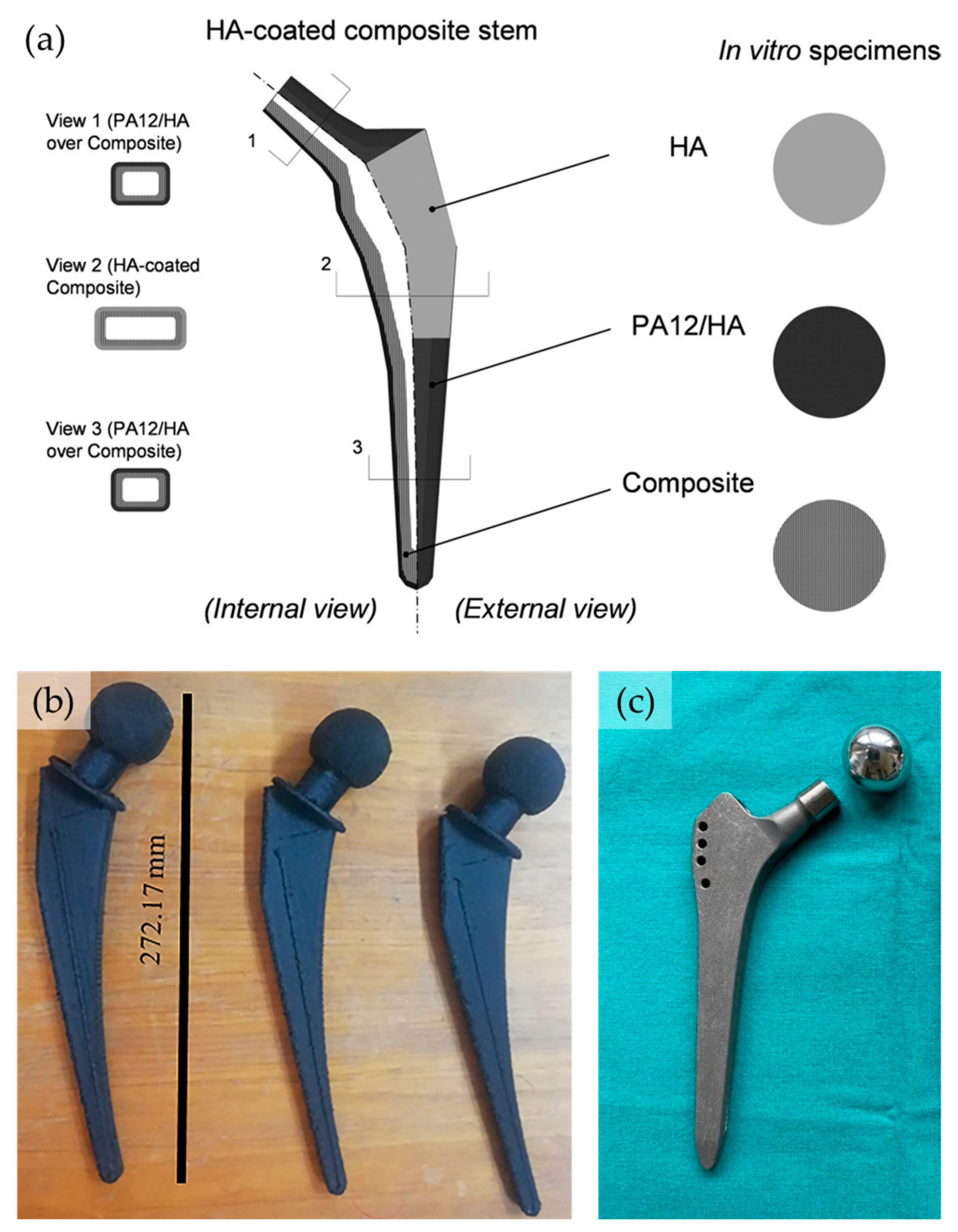 Molecules 29 02443 g008