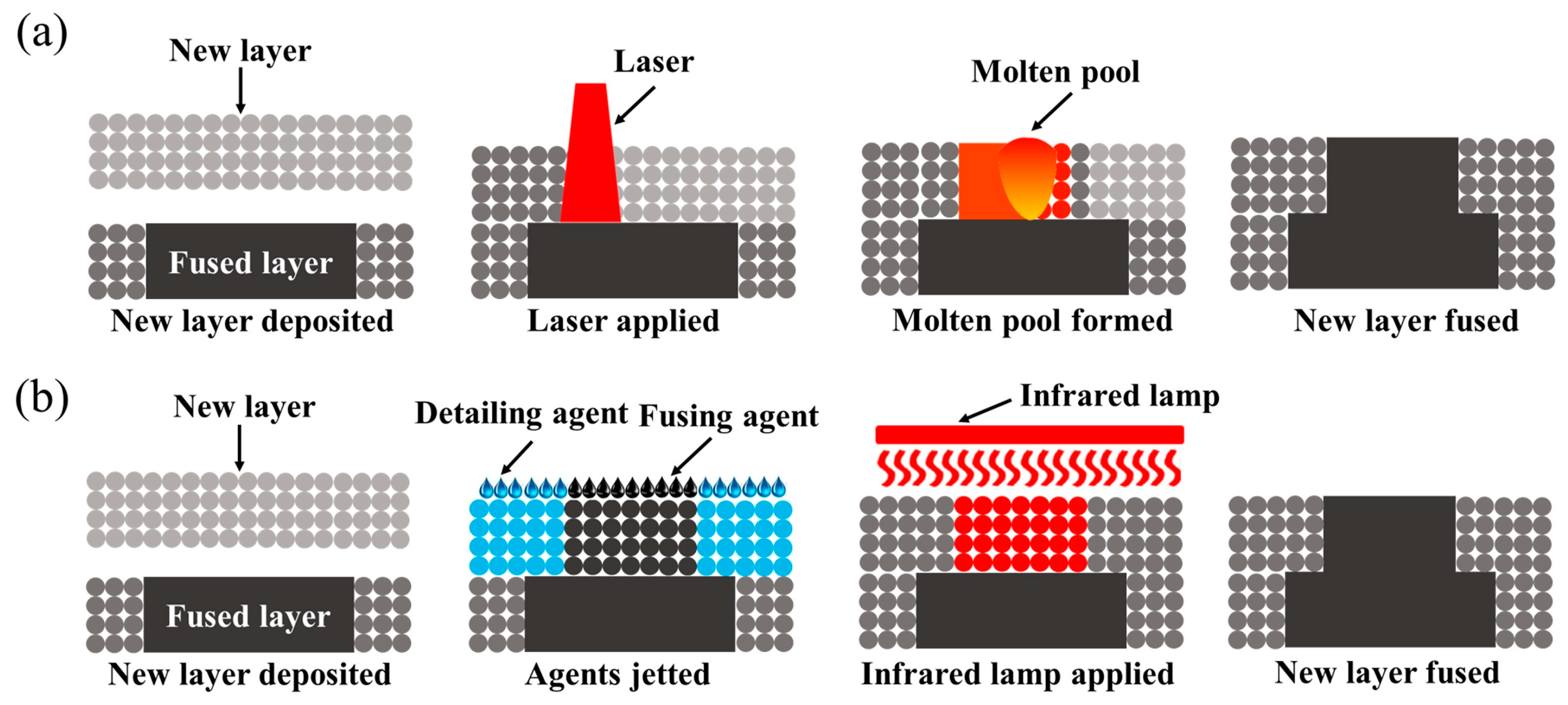 Molecules 29 02443 g010