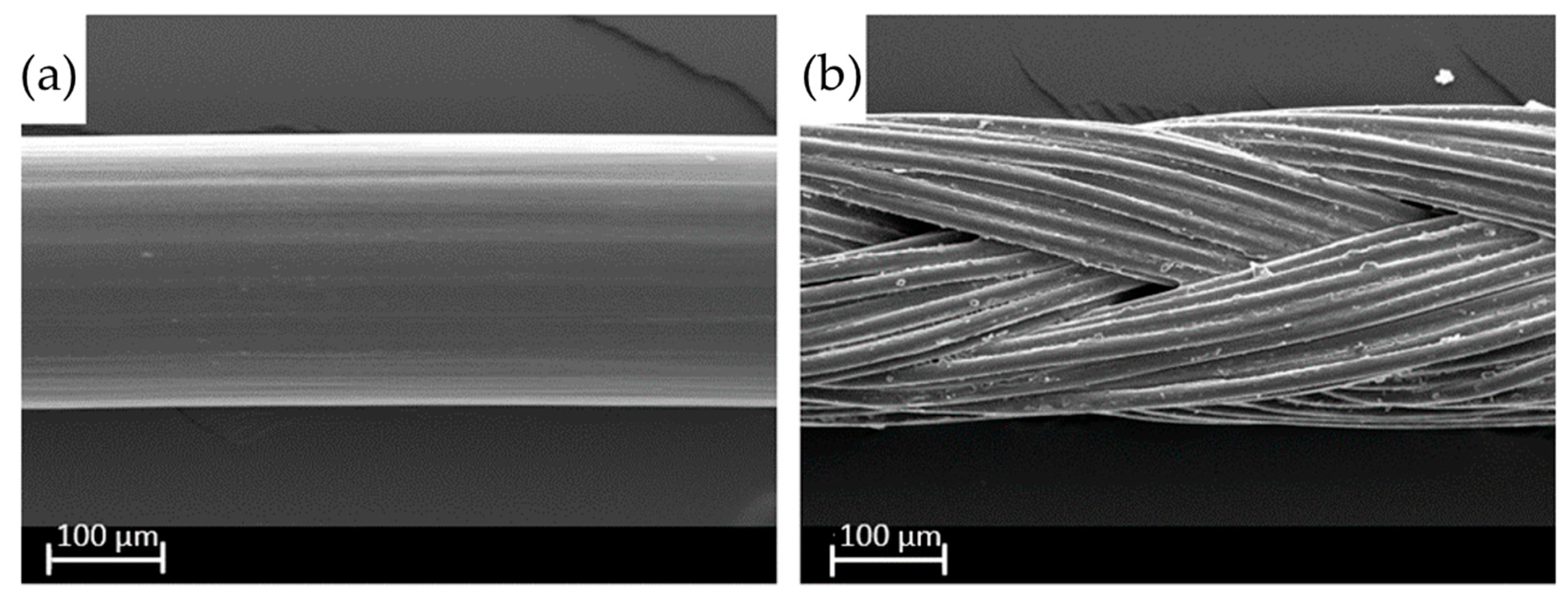 Molecules 29 02443 g012