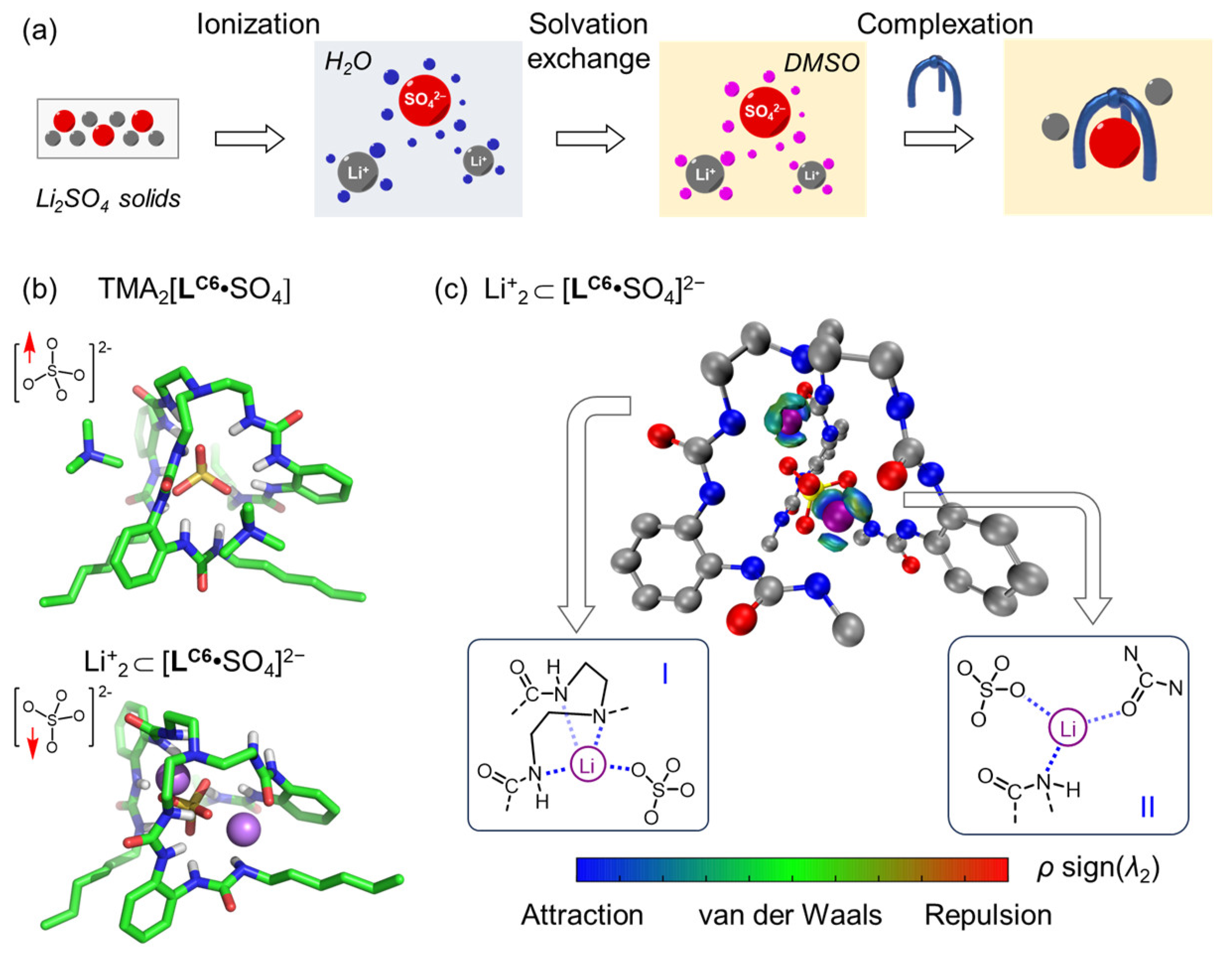 Molecules 29 02445 g004