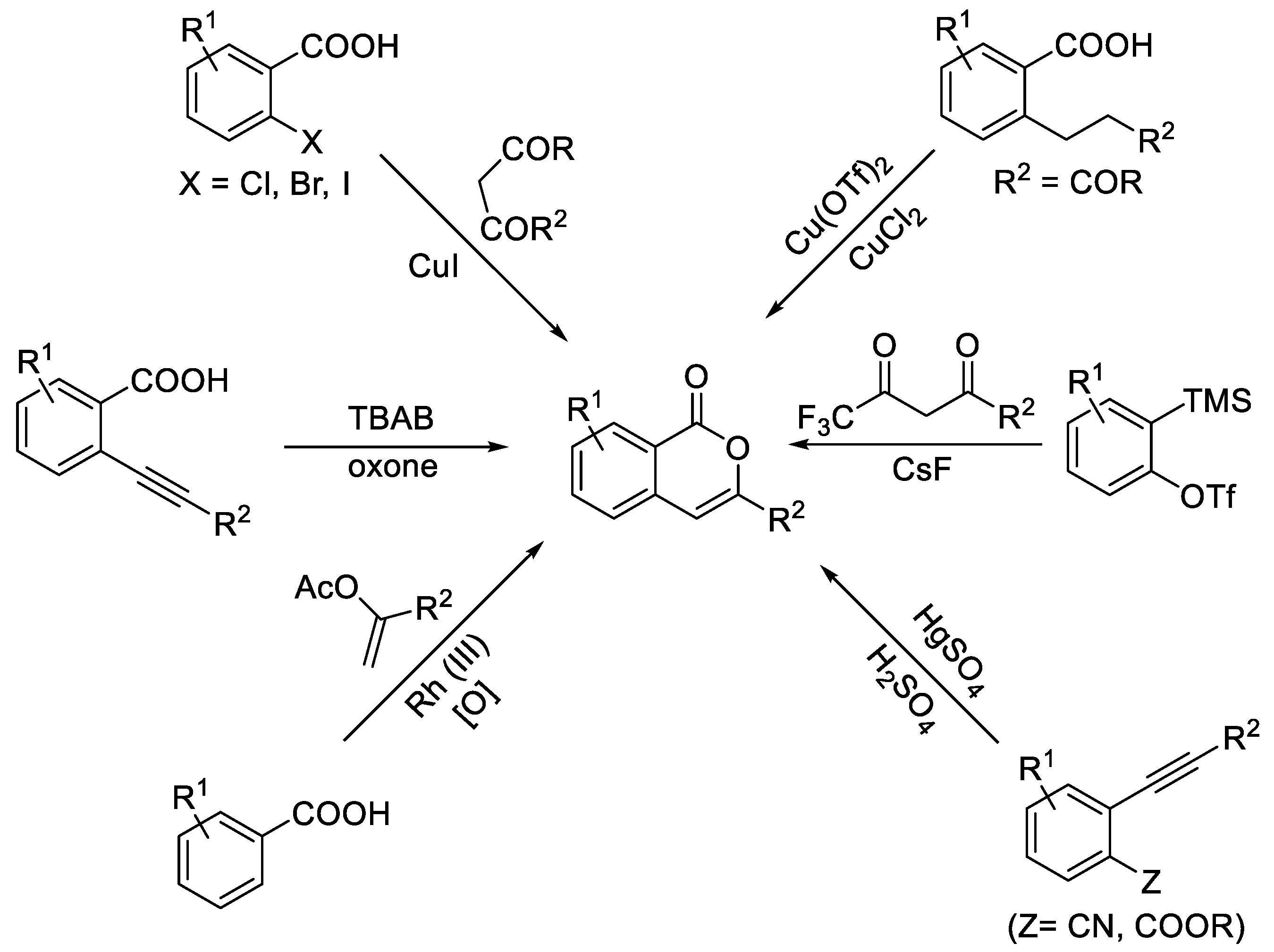 Molecules 29 02449 sch001