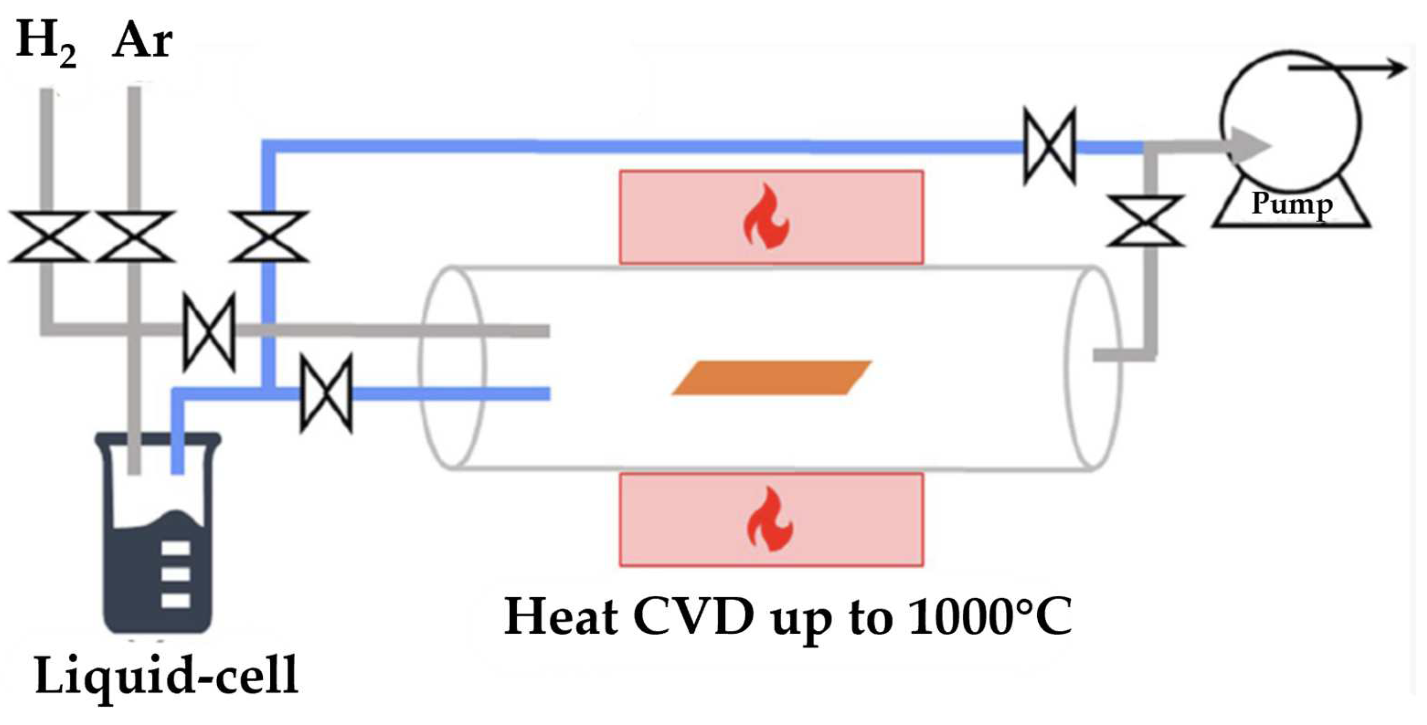 Molecules 29 02451 g002