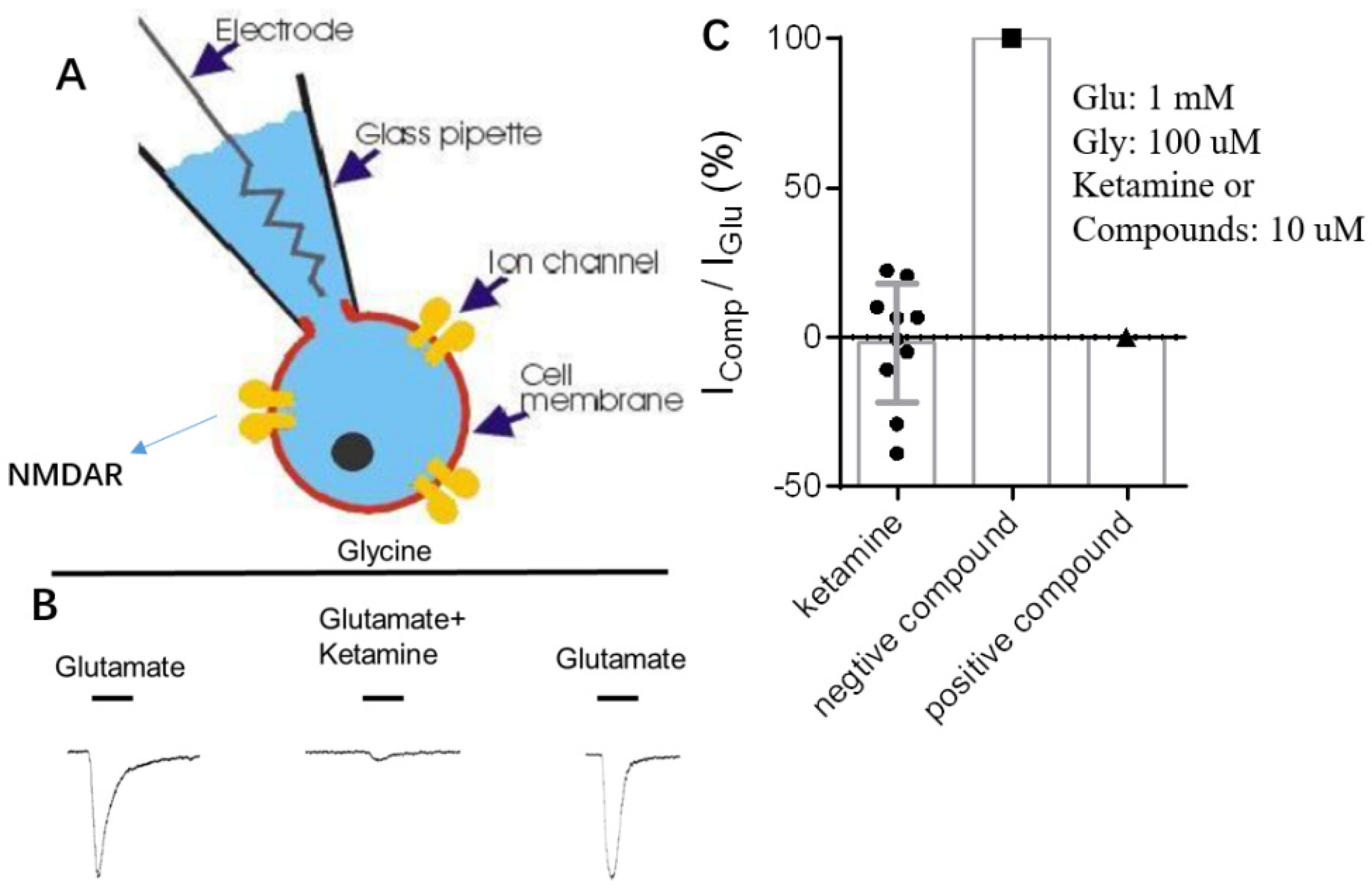 Molecules 29 02459 g004