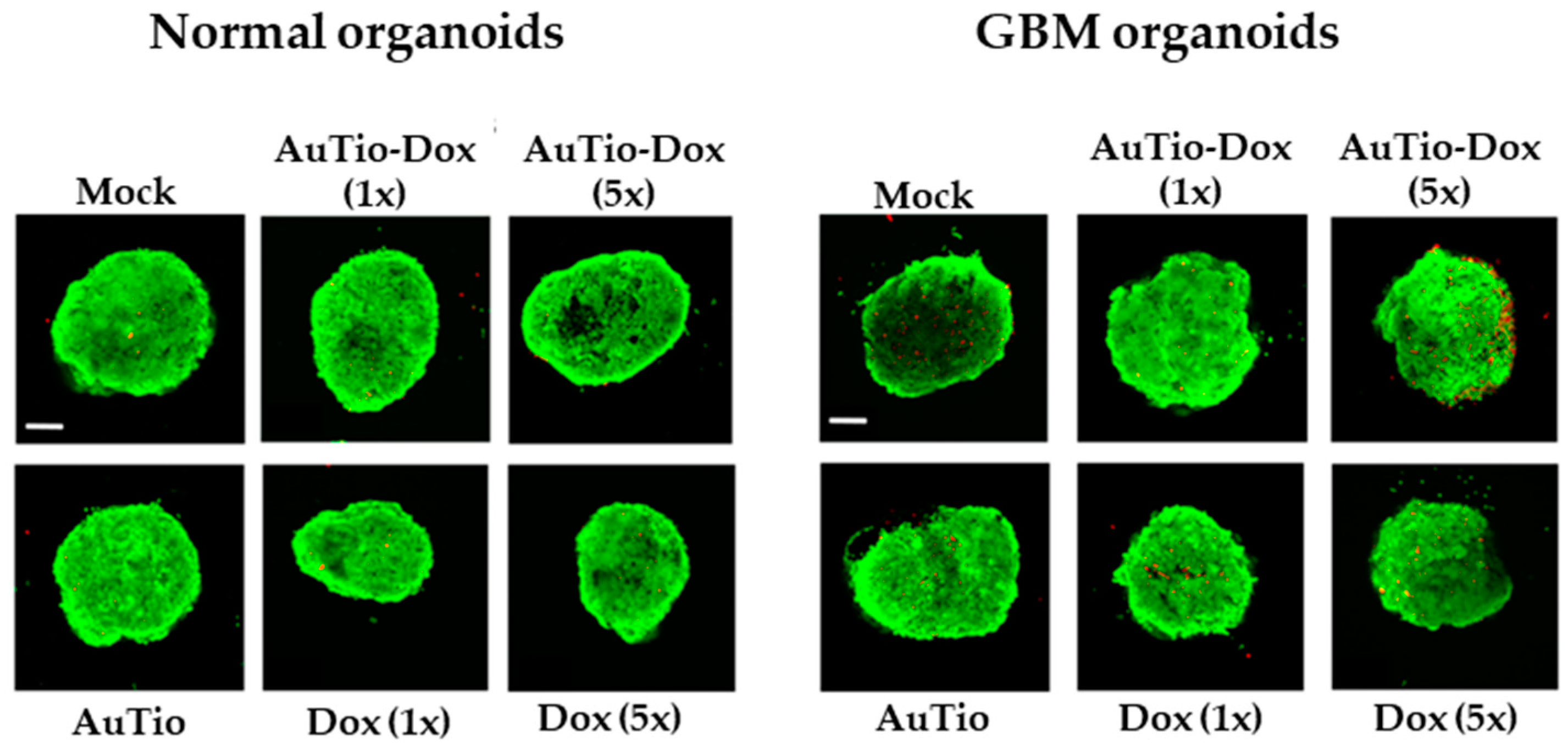 Molecules 29 02469 g006