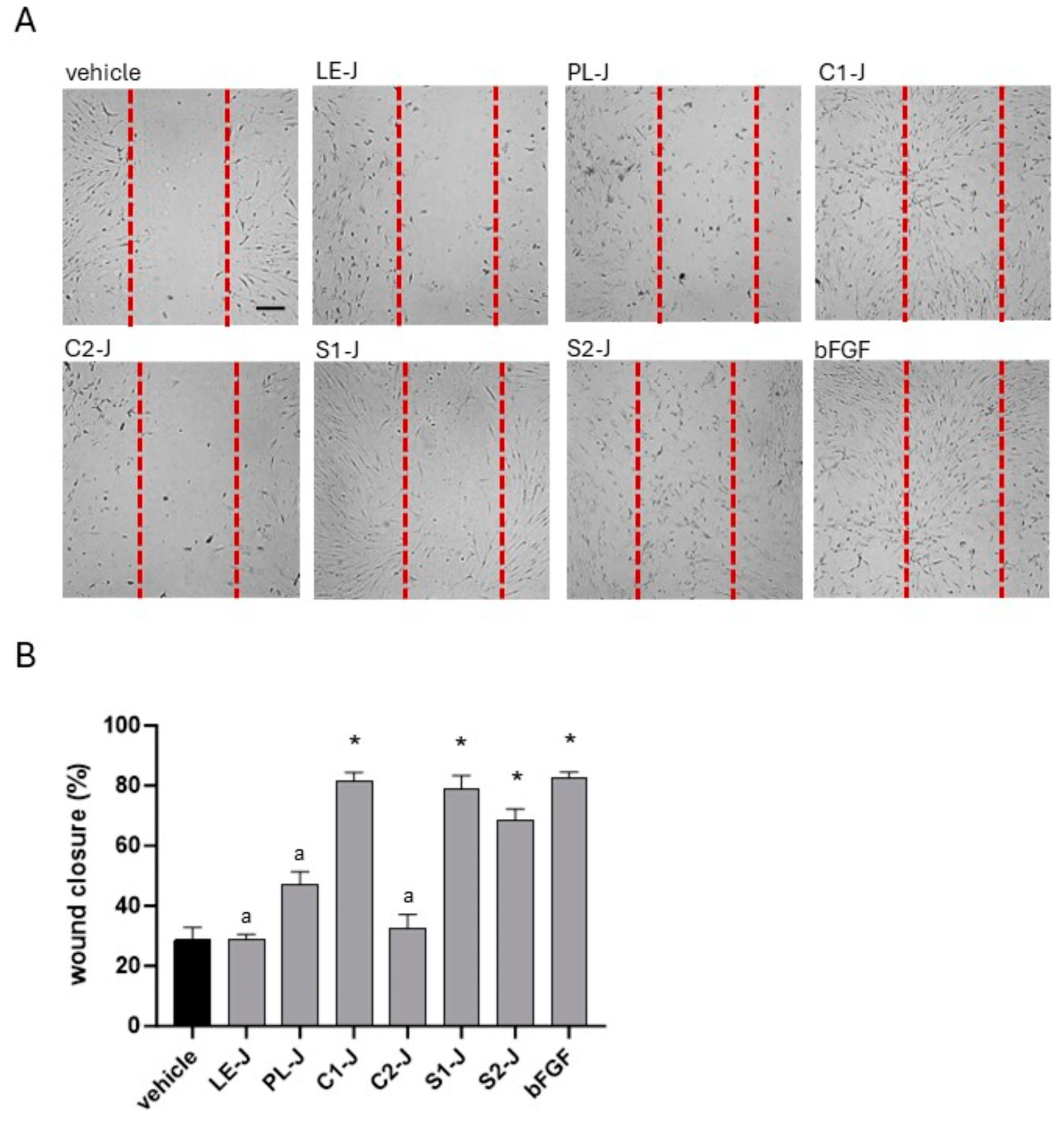 Molecules 29 02472 g006