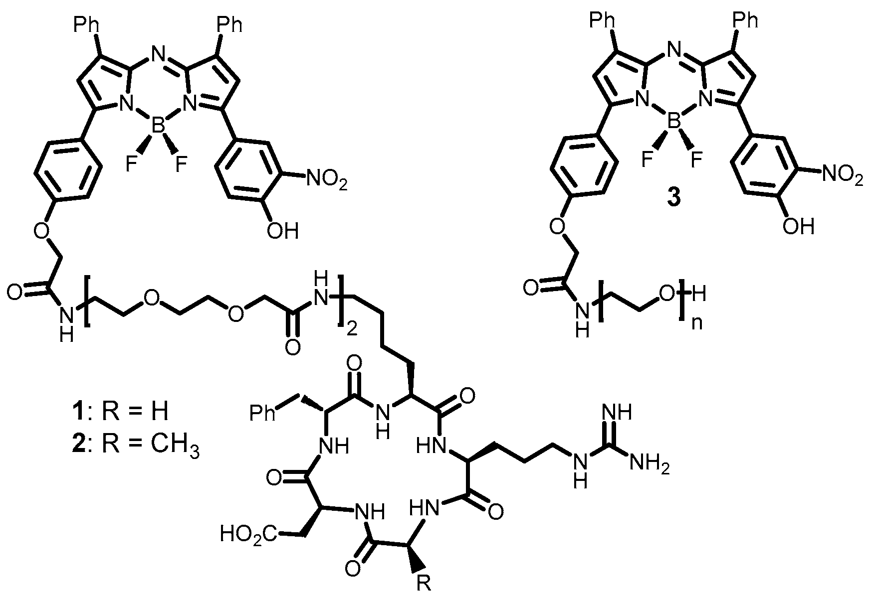 Molecules 29 02474 g002