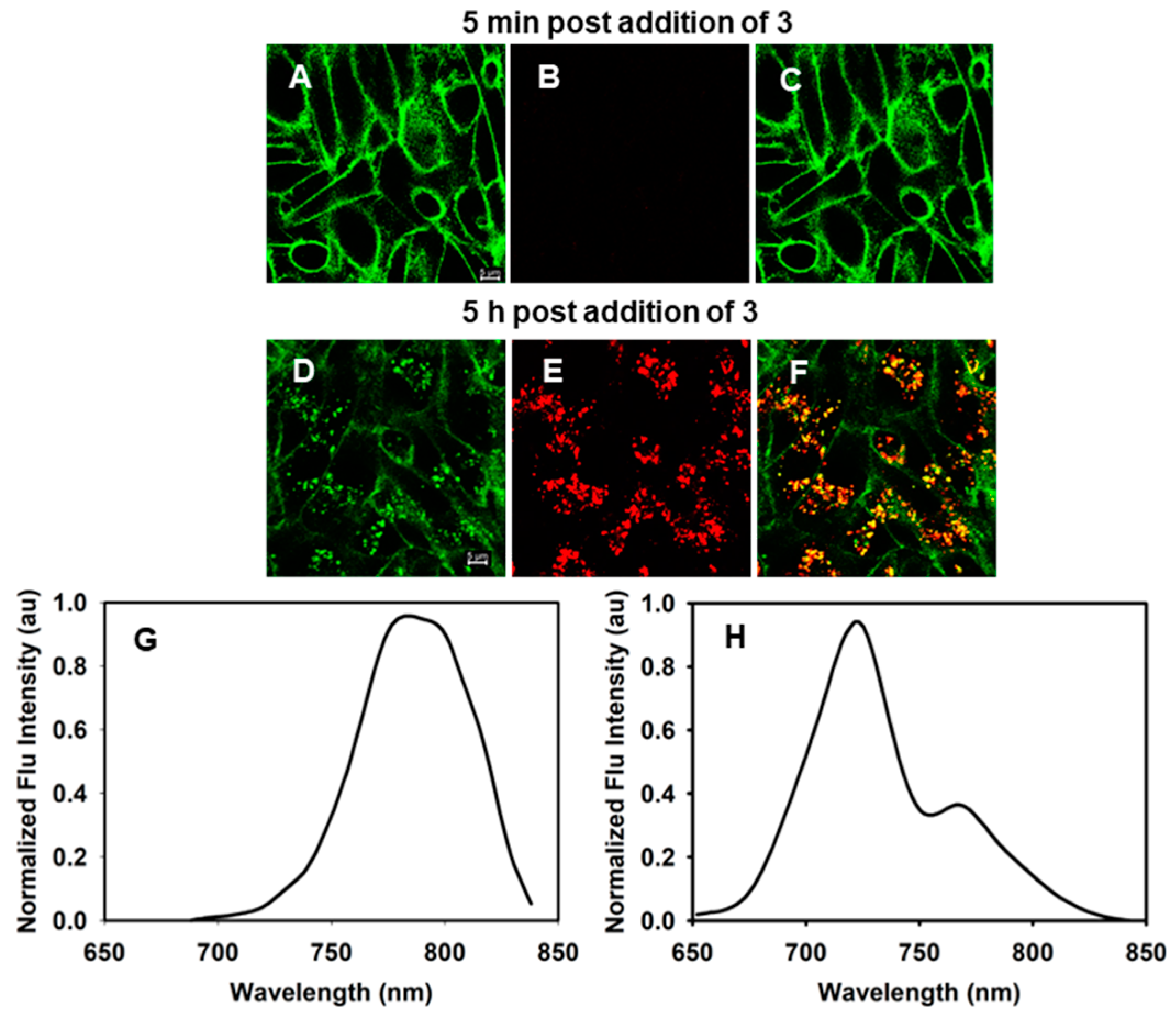Molecules 29 02474 g005