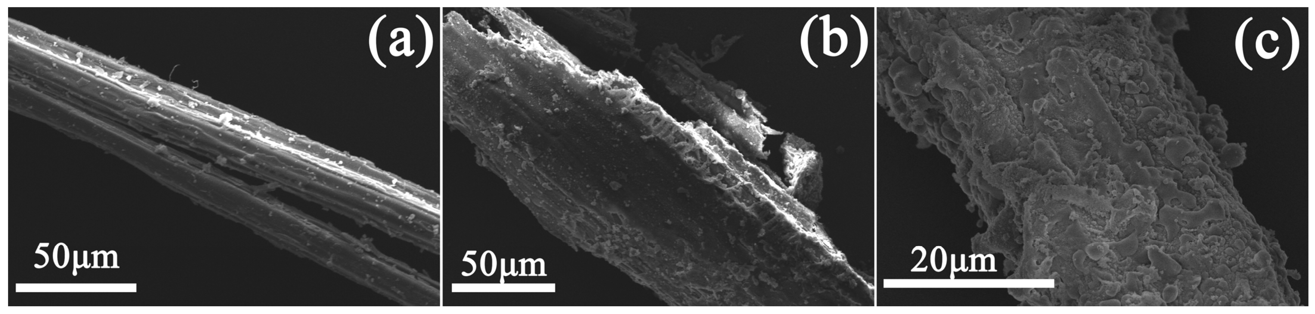 Molecules 29 02476 g002