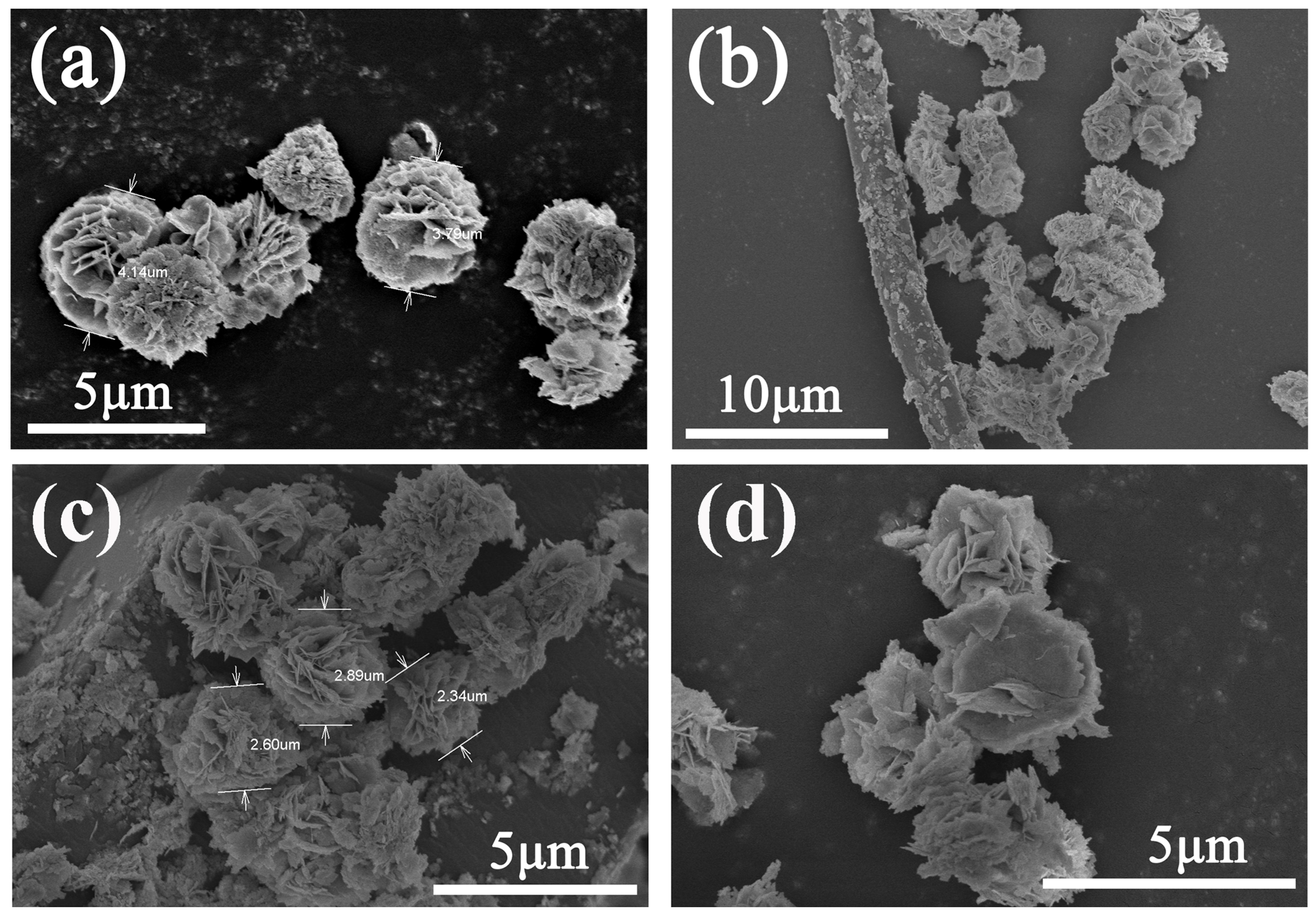 Molecules 29 02476 g003