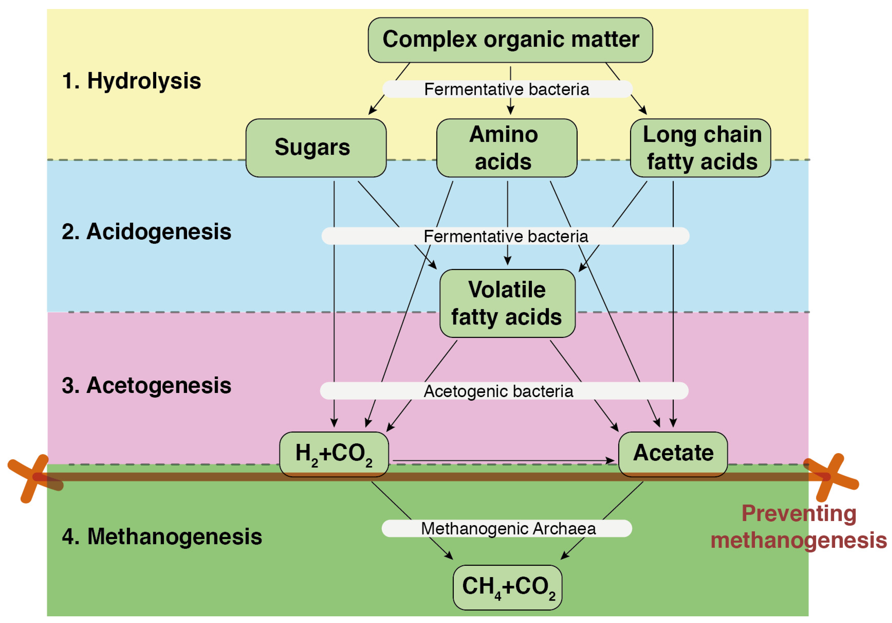 Molecules 29 02477 g003