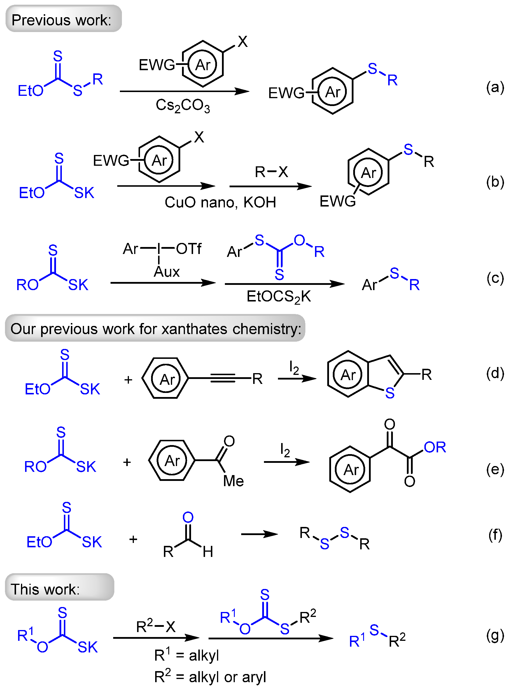 Molecules 29 02485 sch001