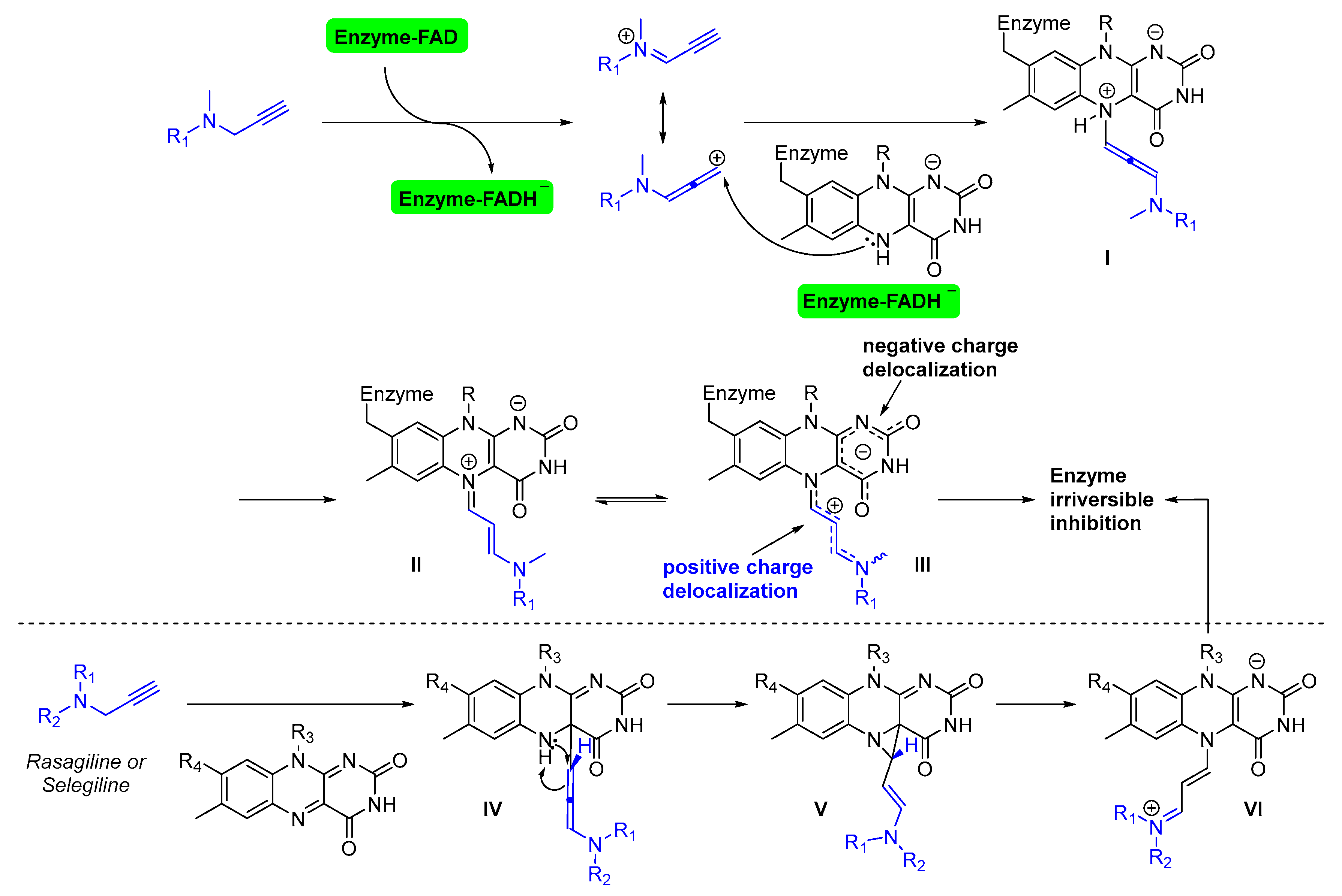 Molecules 29 02486 sch004