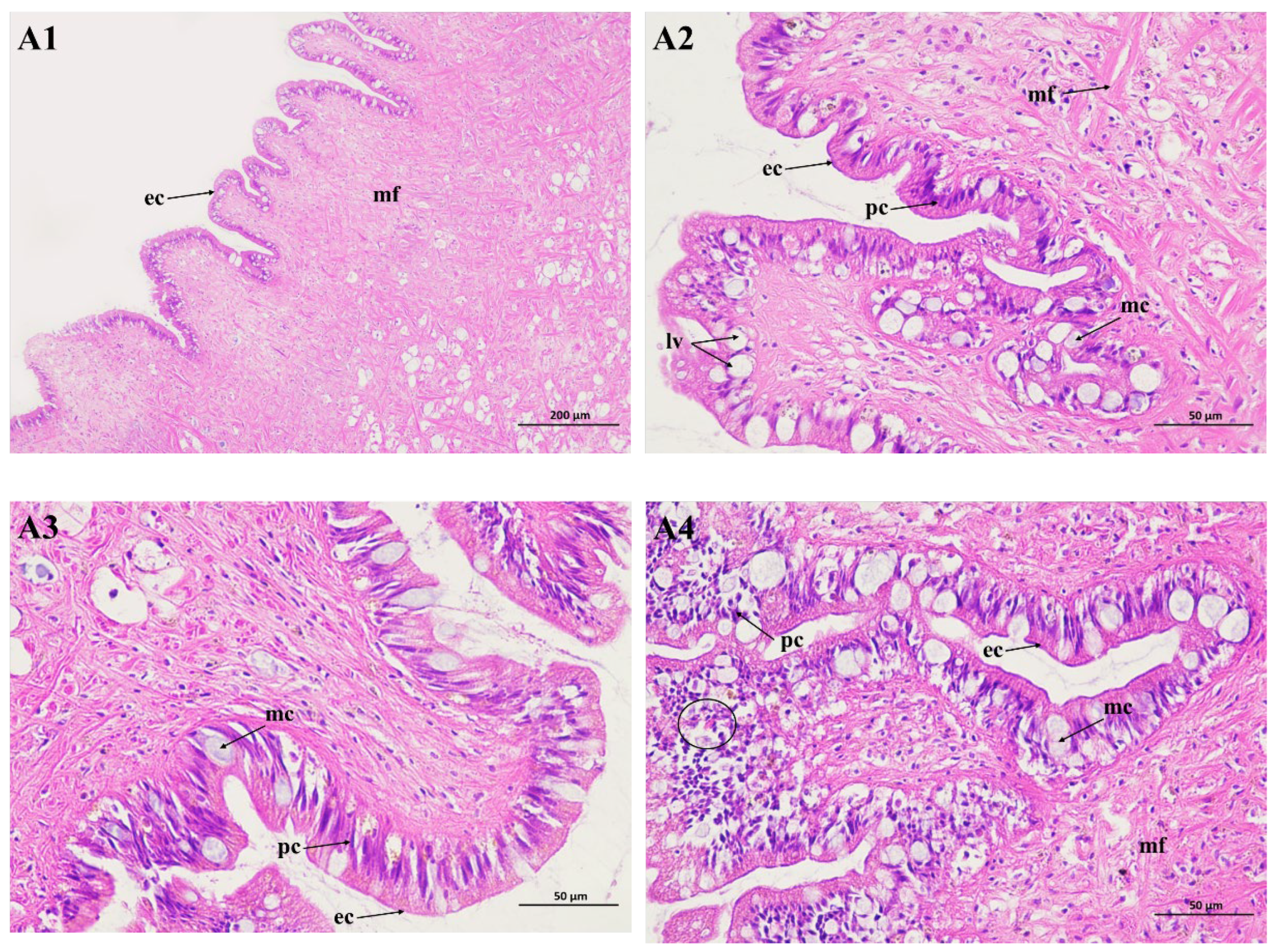 Molecules 29 02487 g003
