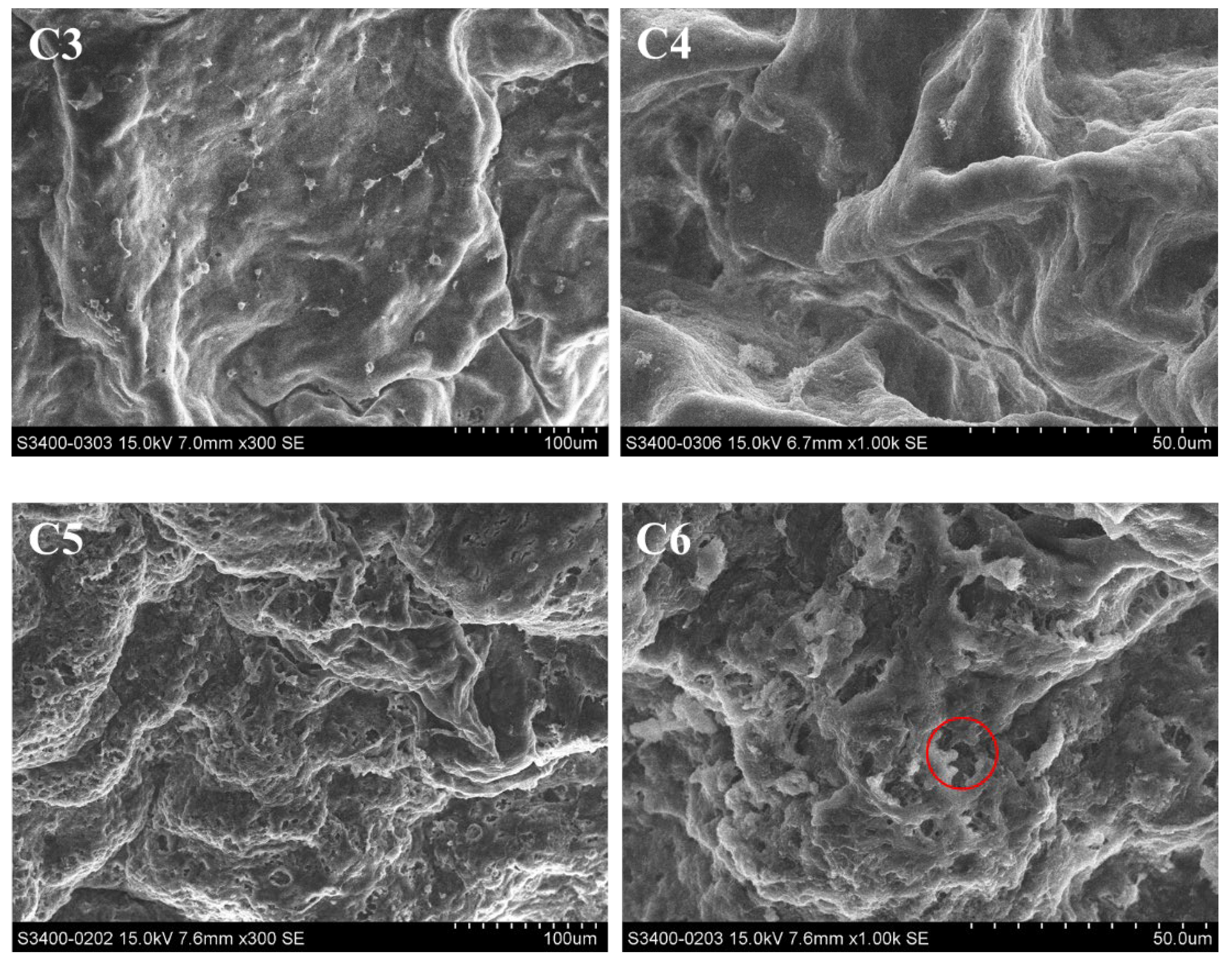 Molecules 29 02487 g005b