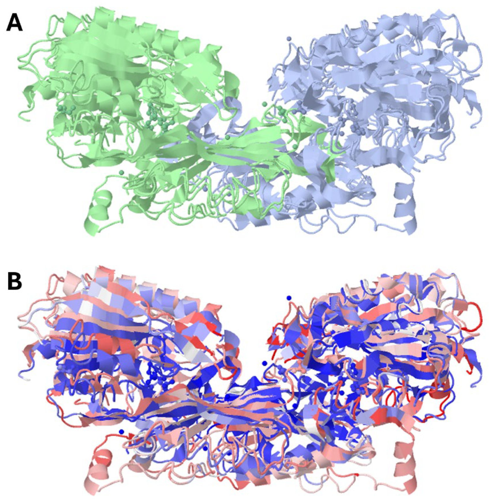 Molecules 29 02488 g002