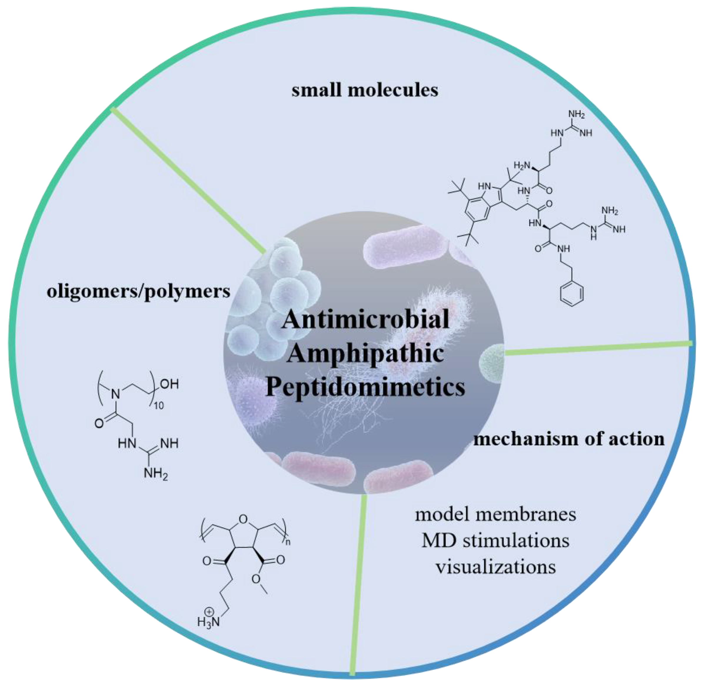 Molecules 29 02492 g001
