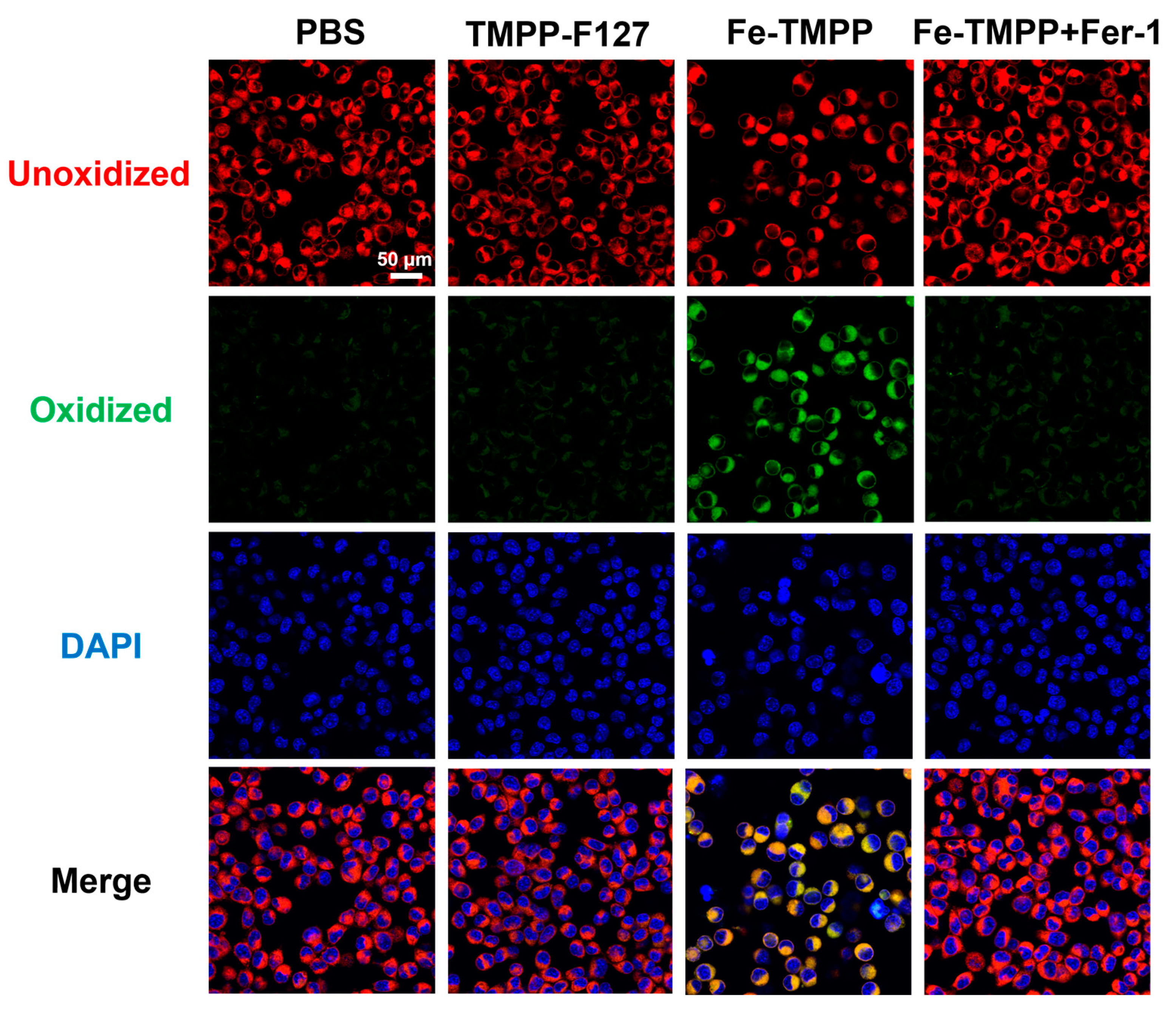 Molecules 29 02495 g003