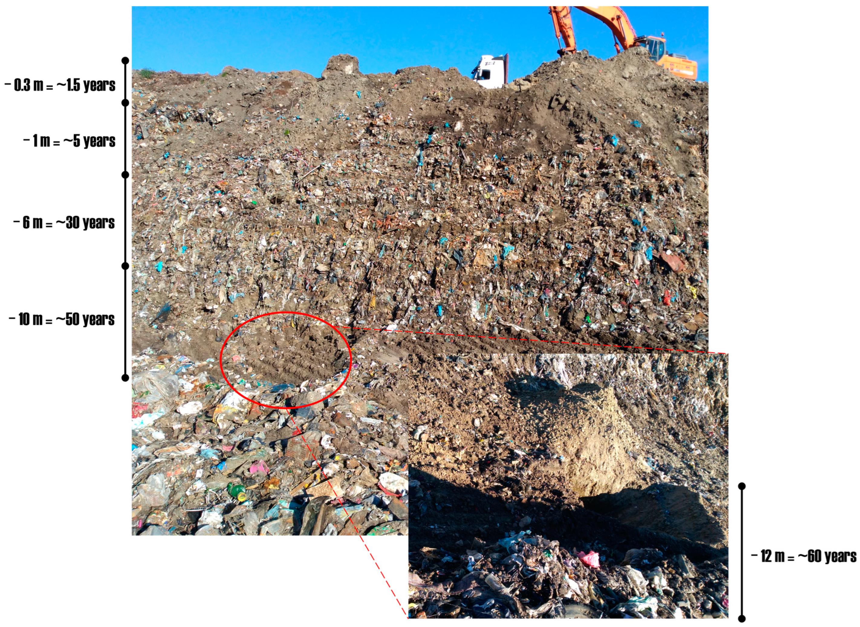 Molecules 29 02499 g005