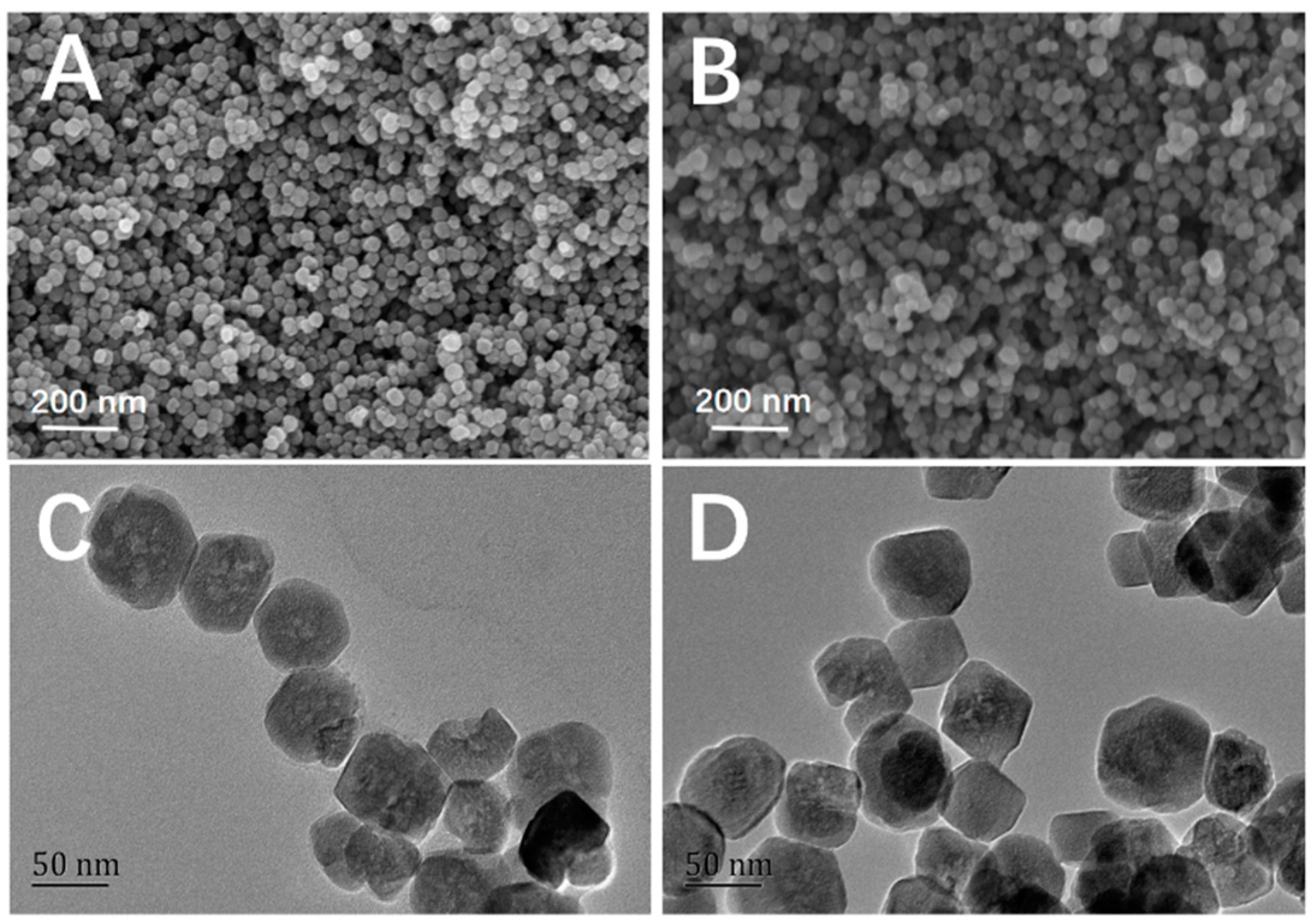 Molecules 29 02500 g003