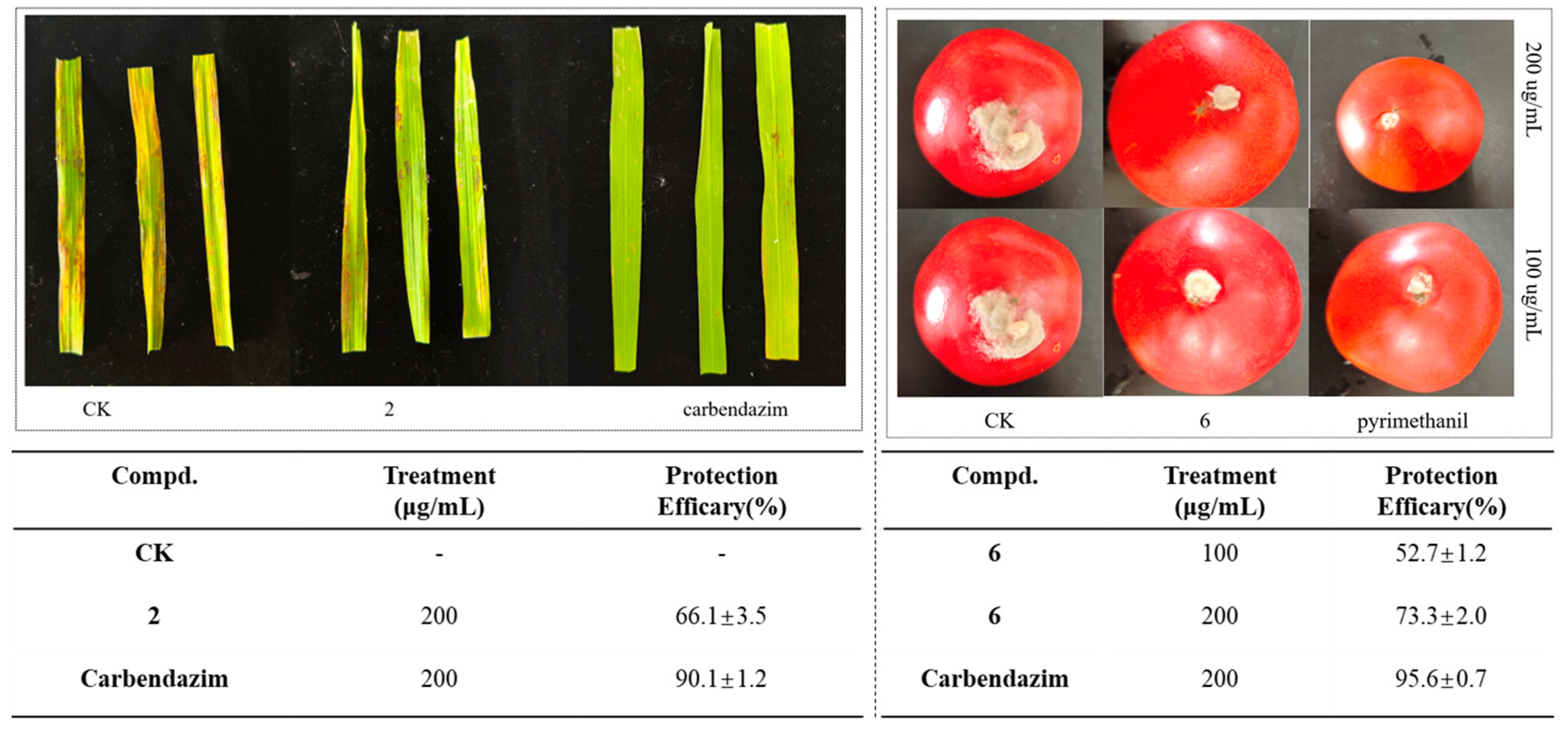 Molecules 29 02501 g003