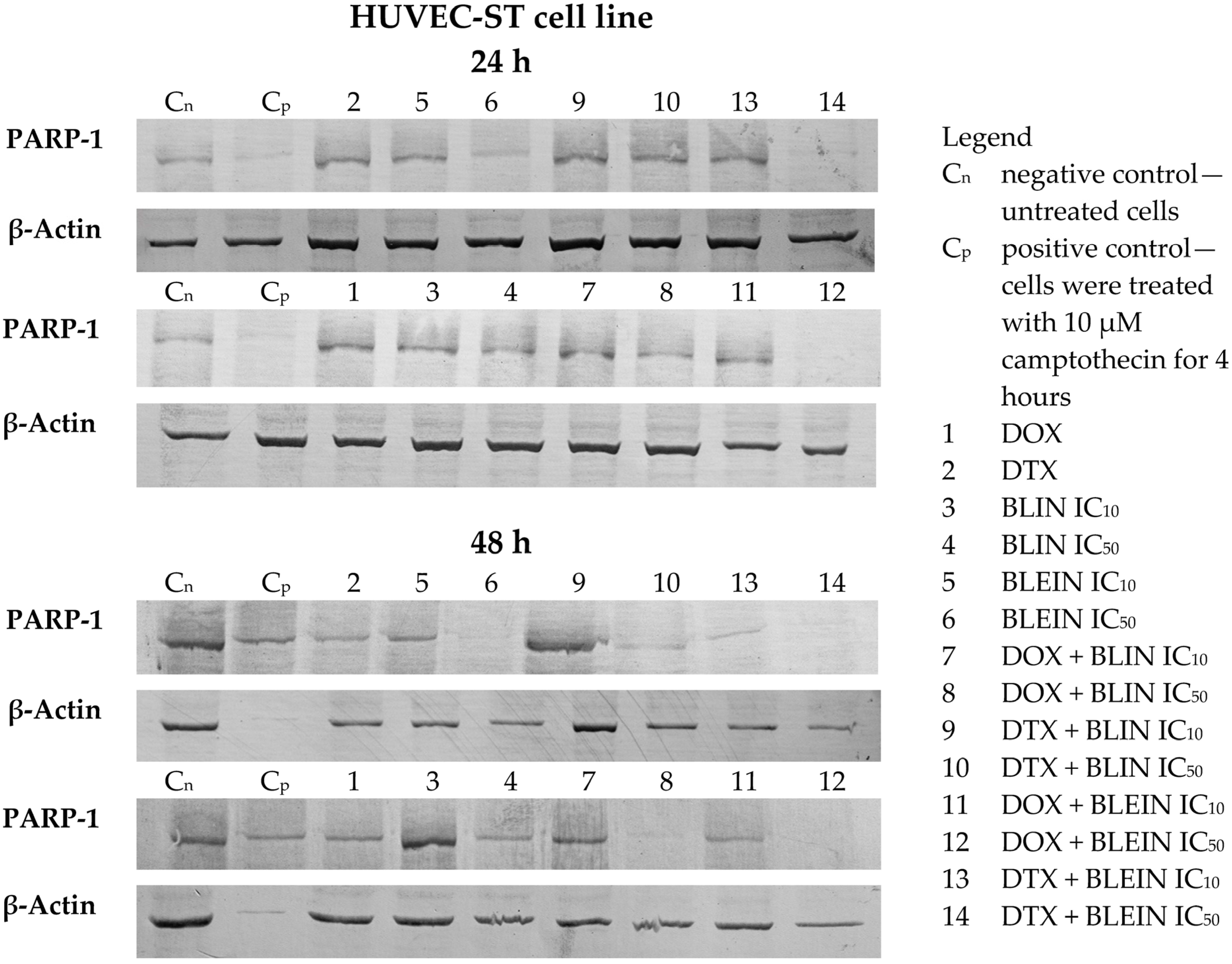 Molecules 29 02503 g012