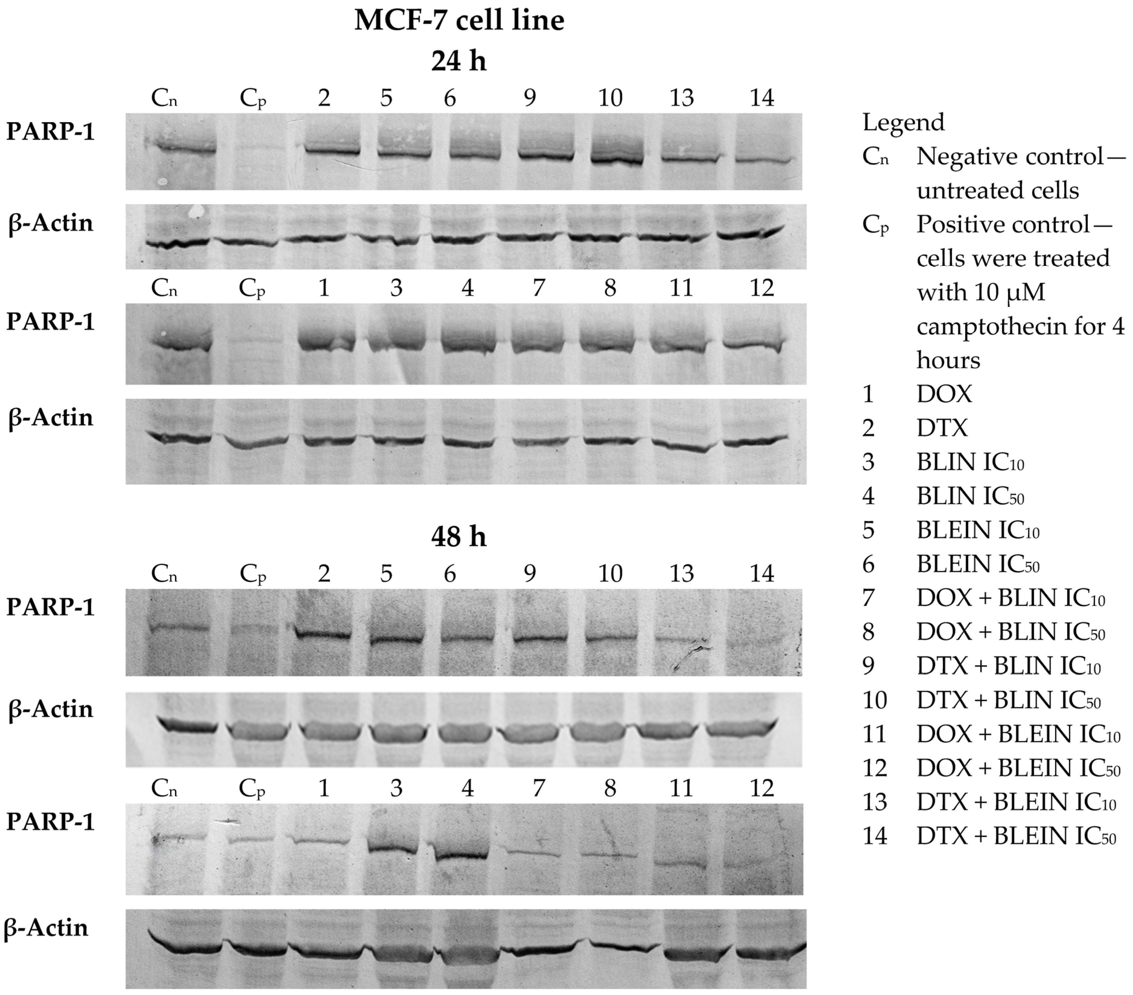 Molecules 29 02503 g013