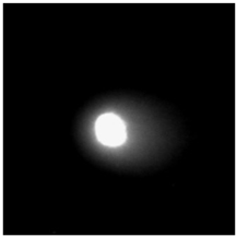 Molecules 29 02503 i006