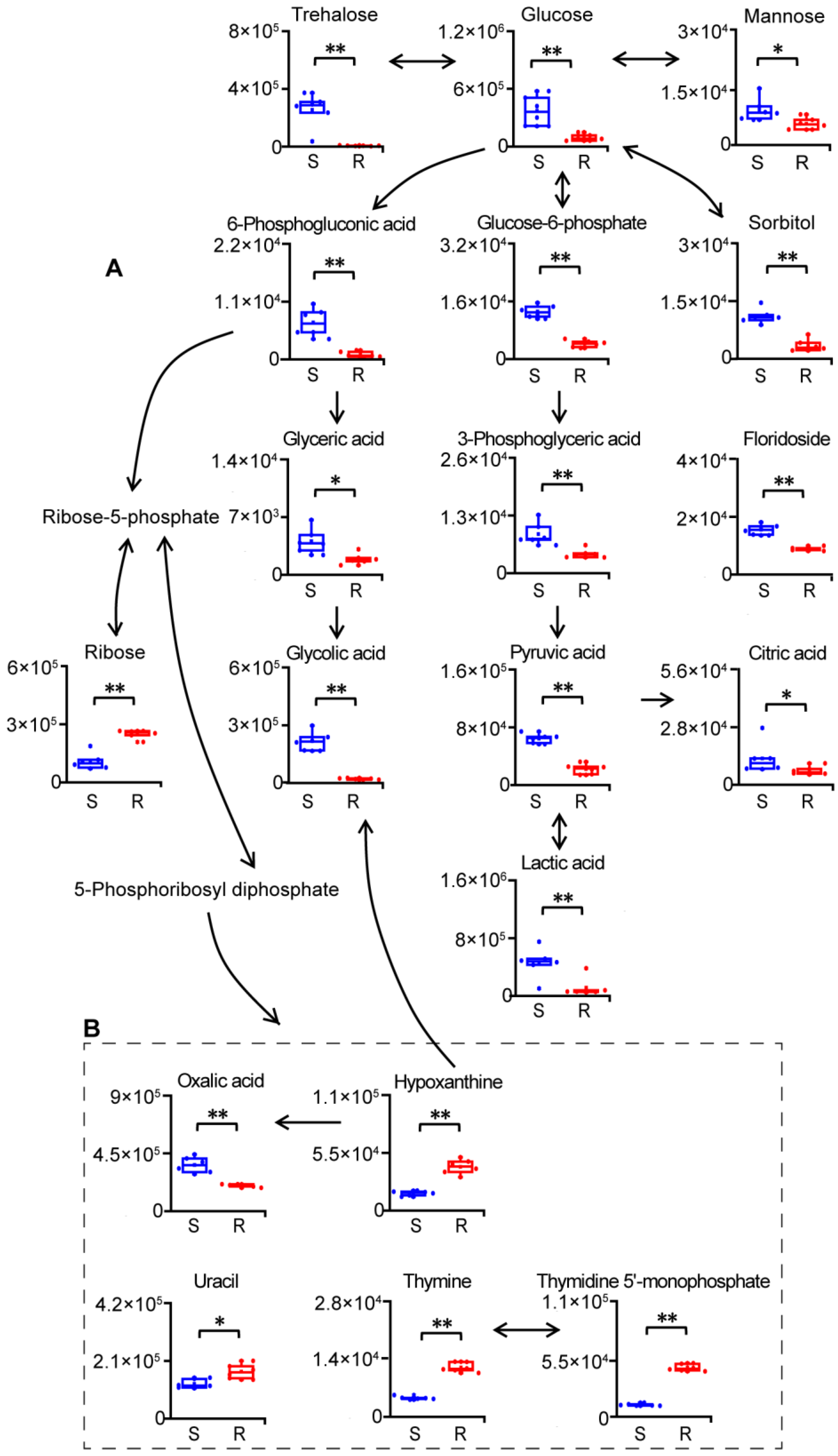 Molecules 29 02504 g003