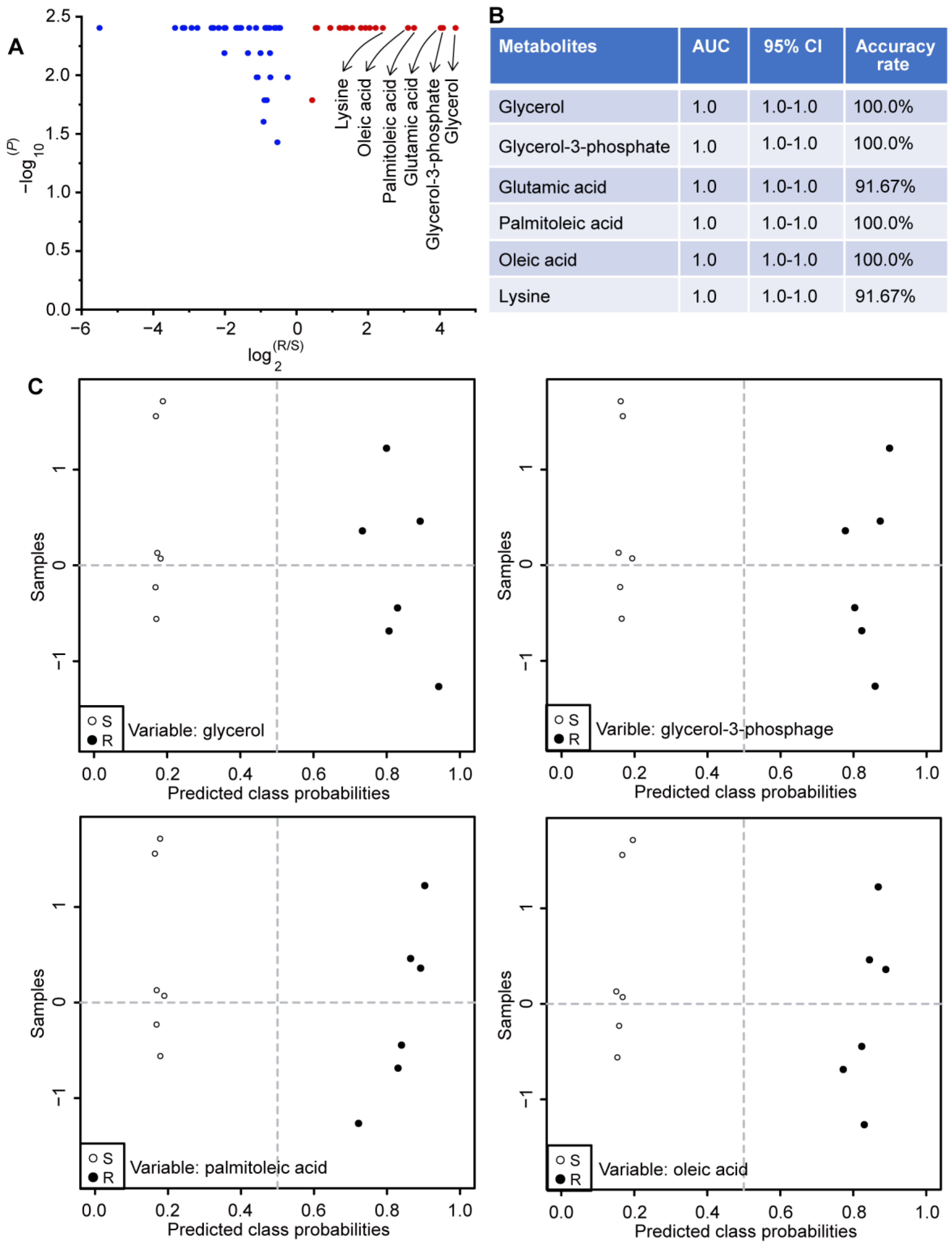 Molecules 29 02504 g006
