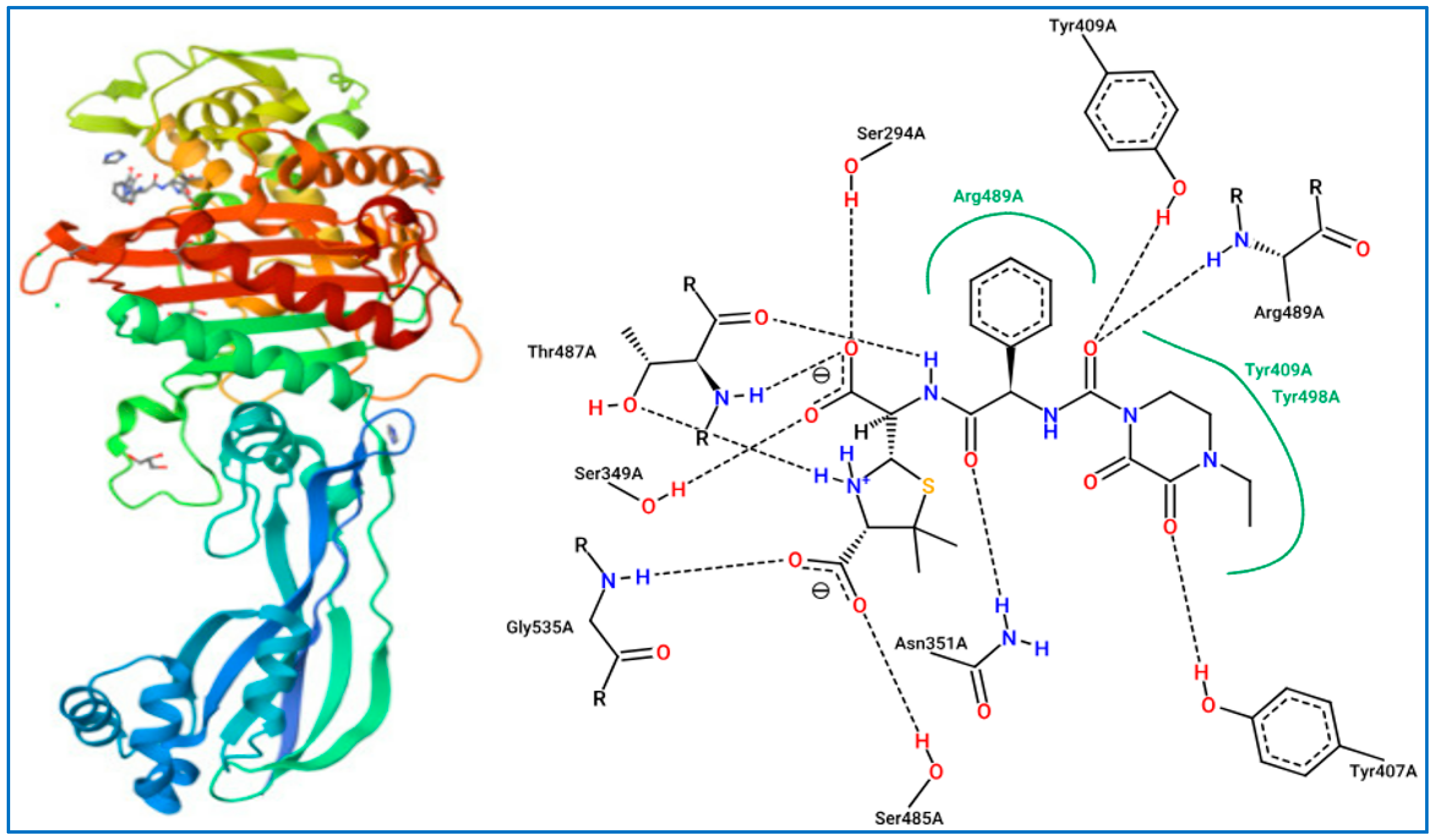 Molecules 29 02510 g006