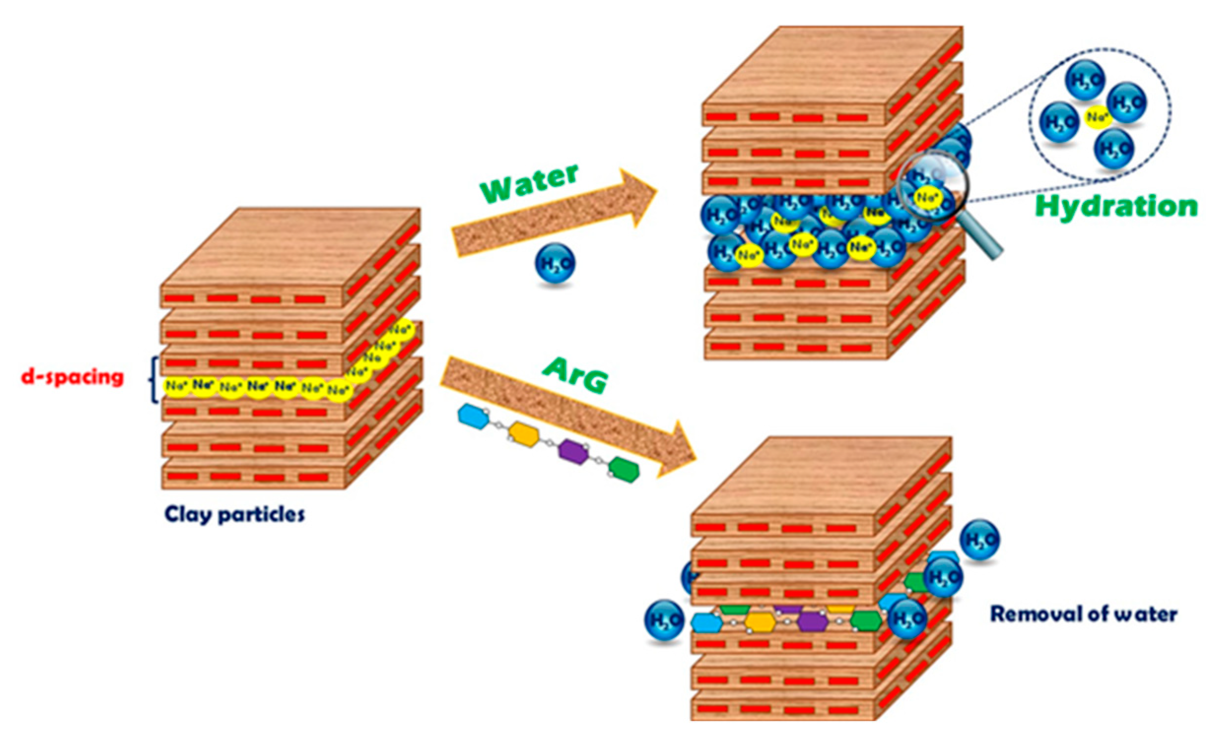 Molecules 29 02512 g010