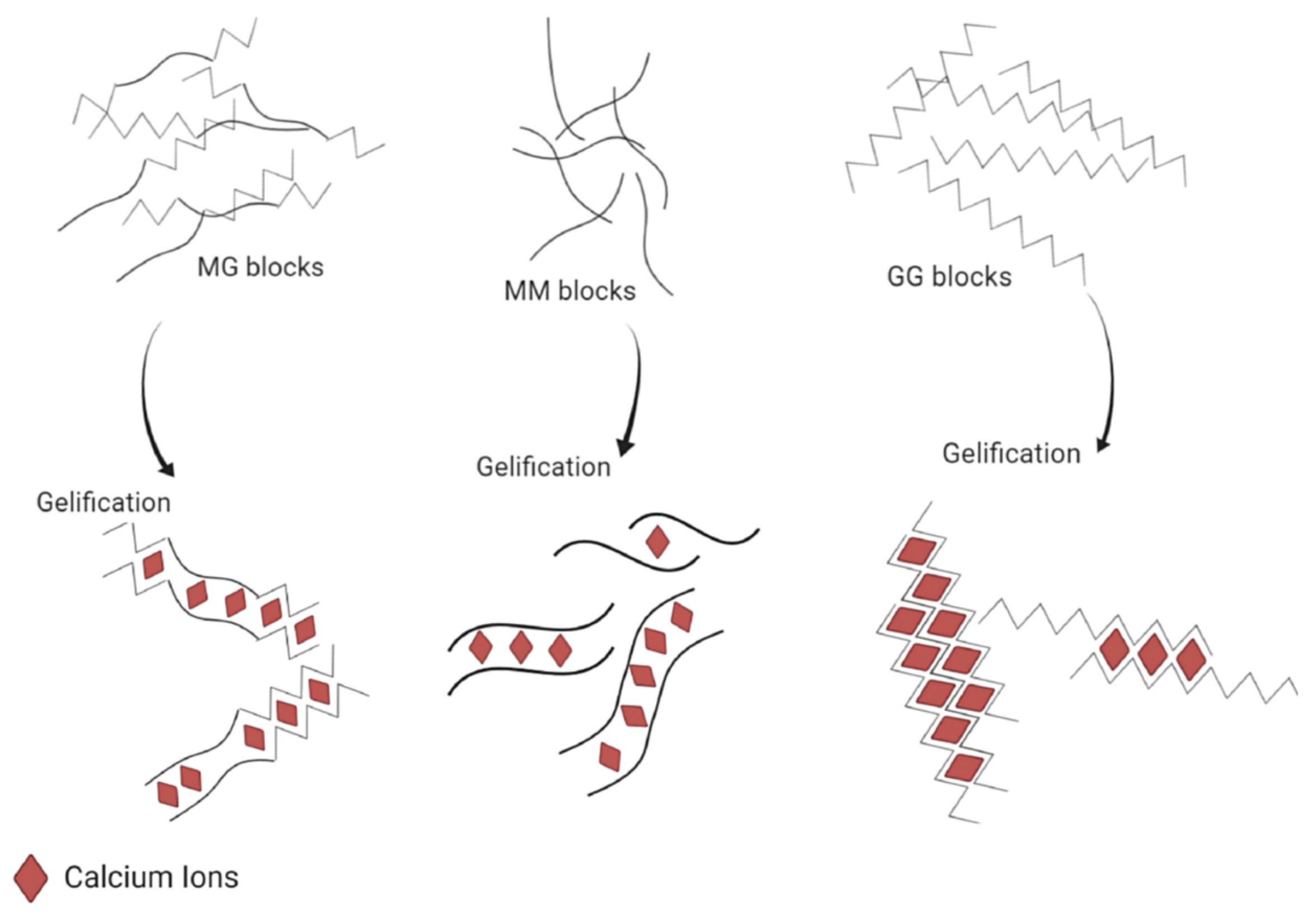 Molecules 29 02515 g003