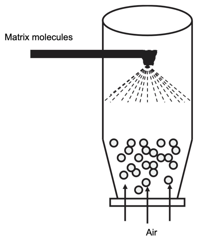 Molecules 29 02515 g013