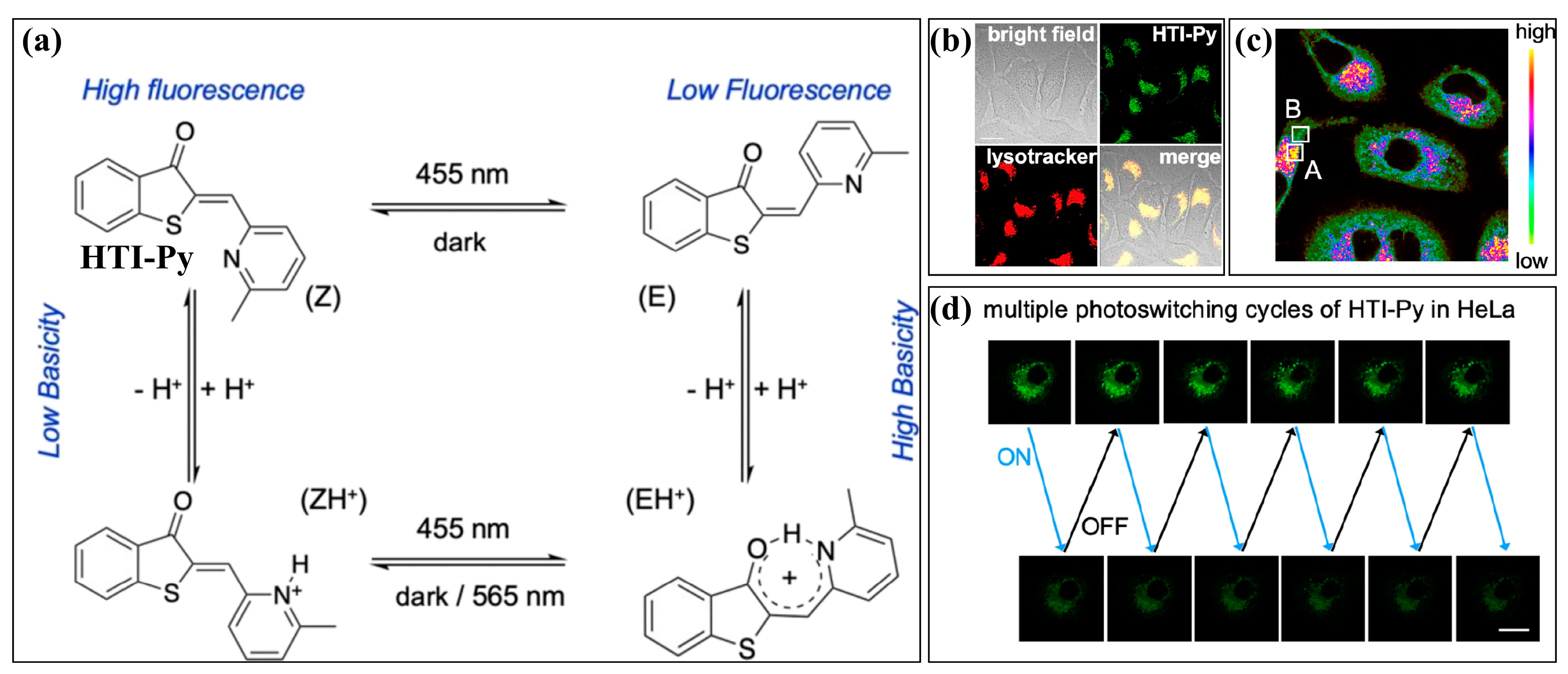 Molecules 29 02521 g002