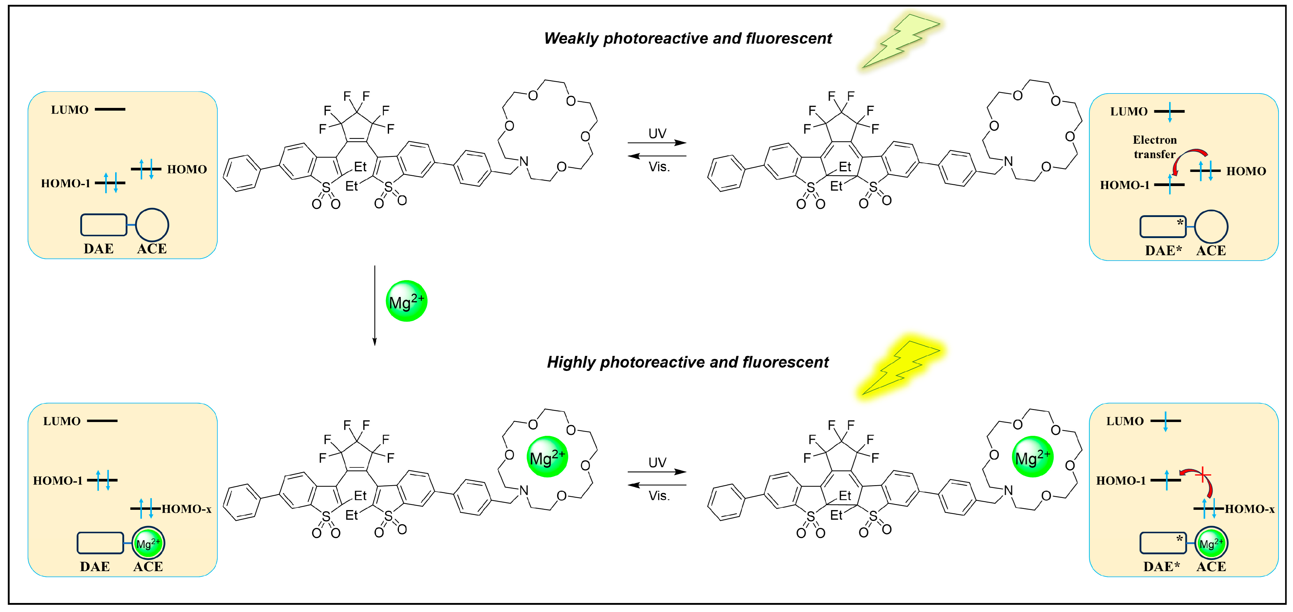 Molecules 29 02521 g003