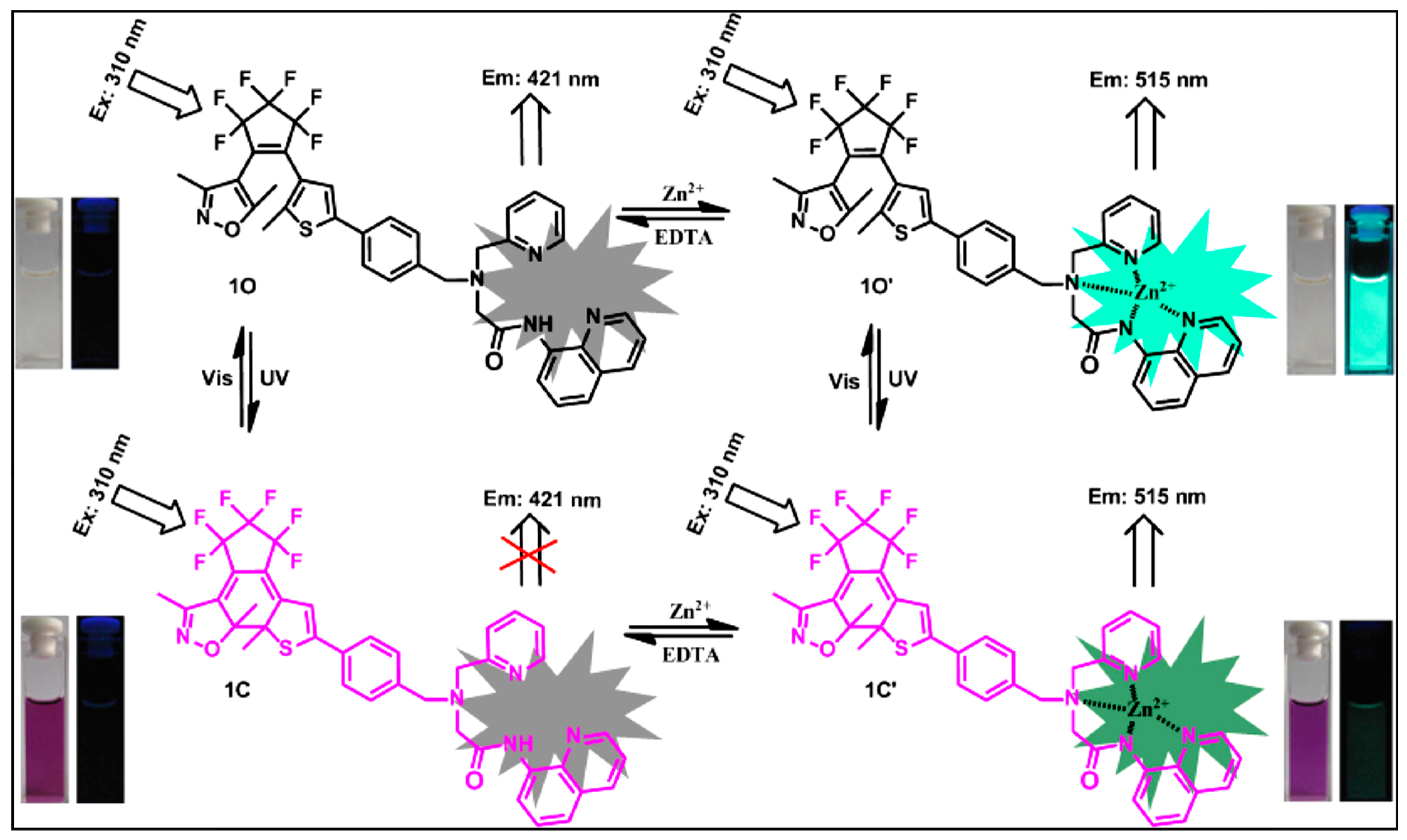 Molecules 29 02521 g006