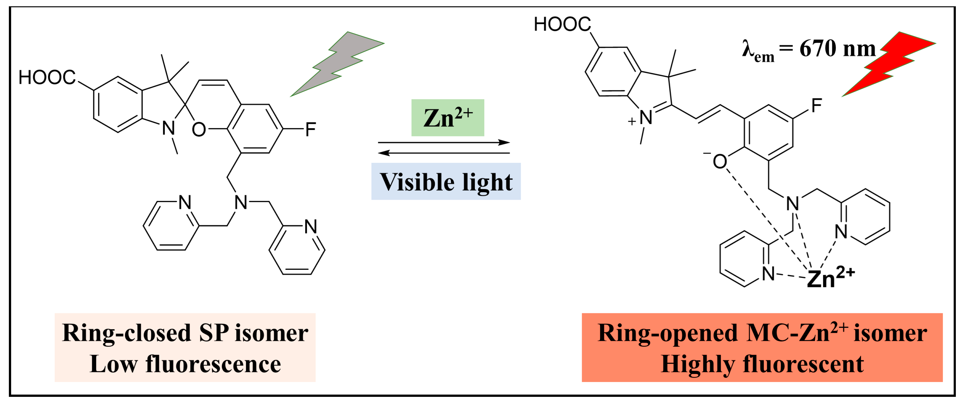 Molecules 29 02521 g007