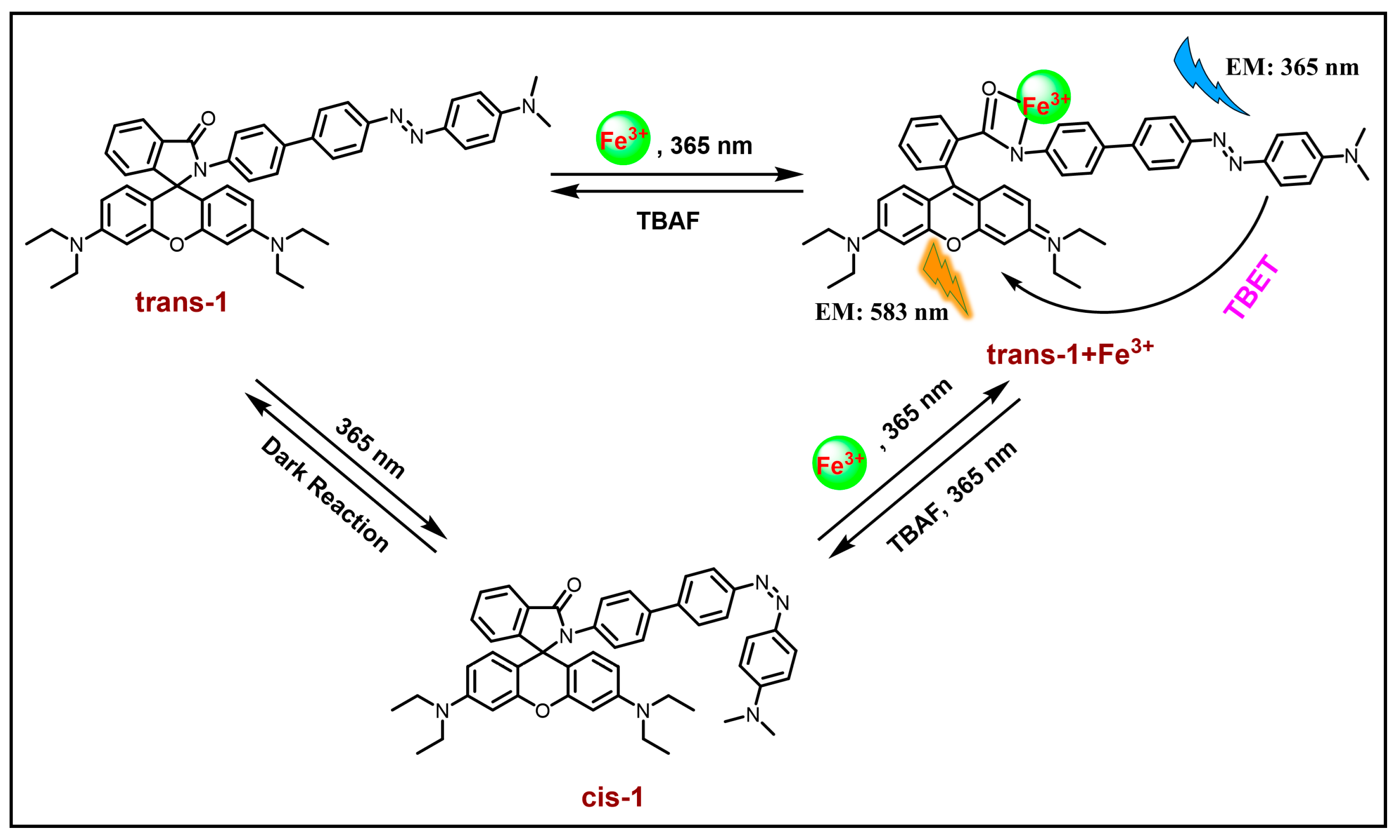 Molecules 29 02521 g010